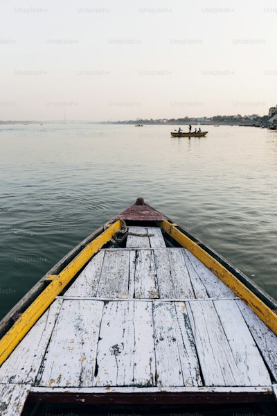 Largest River Deltas in the World: Where Mighty Rivers Meet the Sea