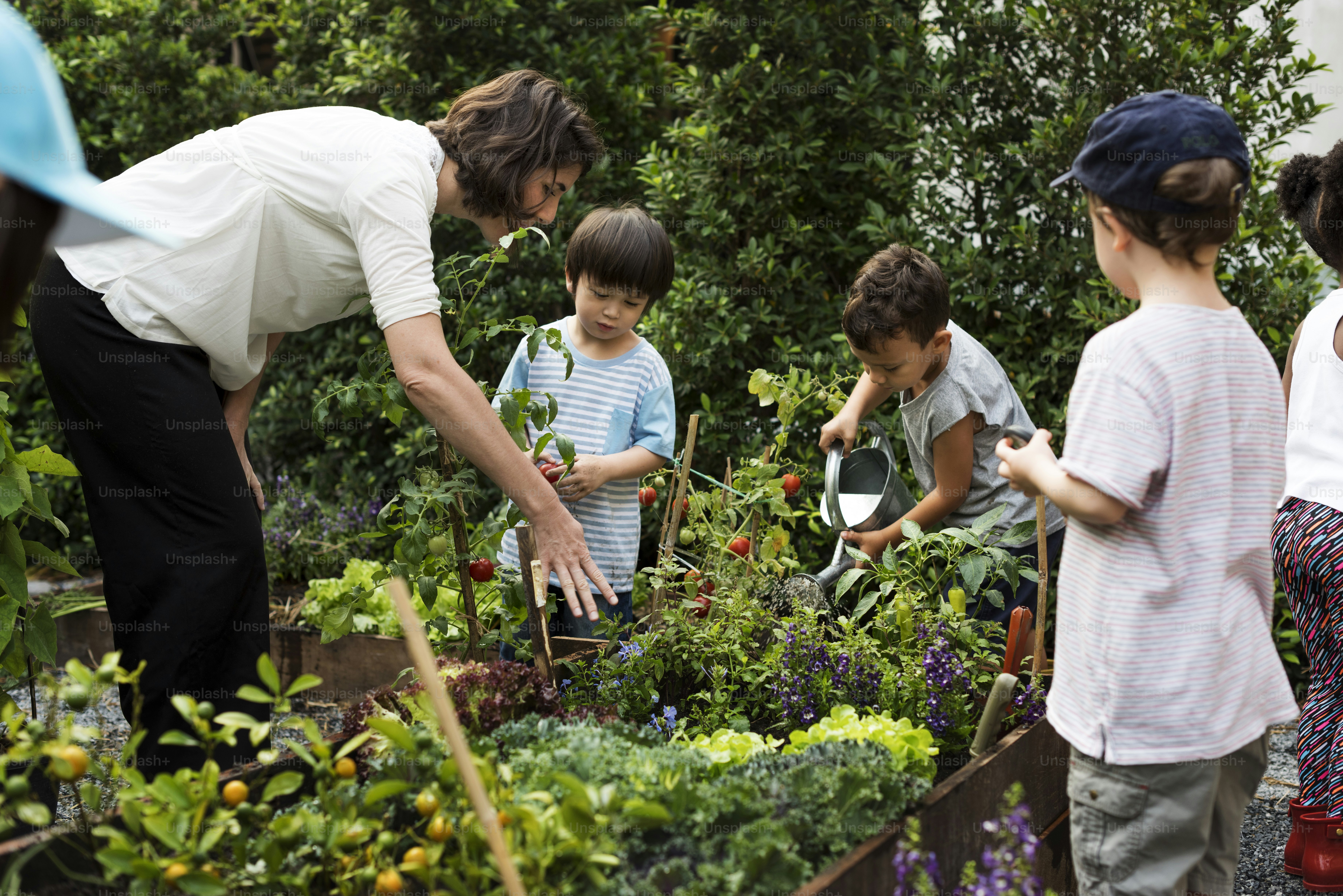 Lehrer und Kinder, Schule, Lernen, Ökologie, Gartenarbeit