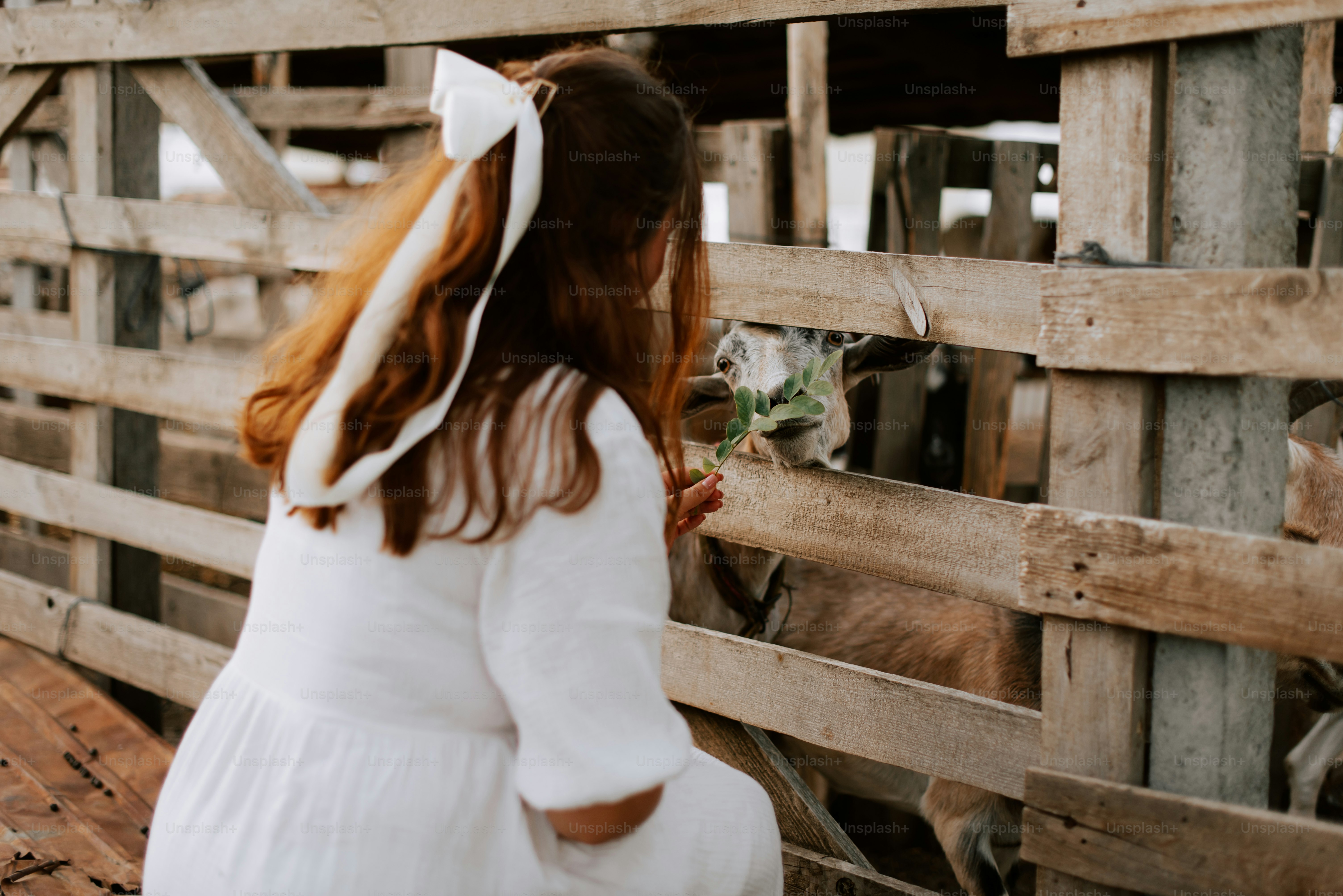Una niña con un vestido blanco de pie junto a una valla