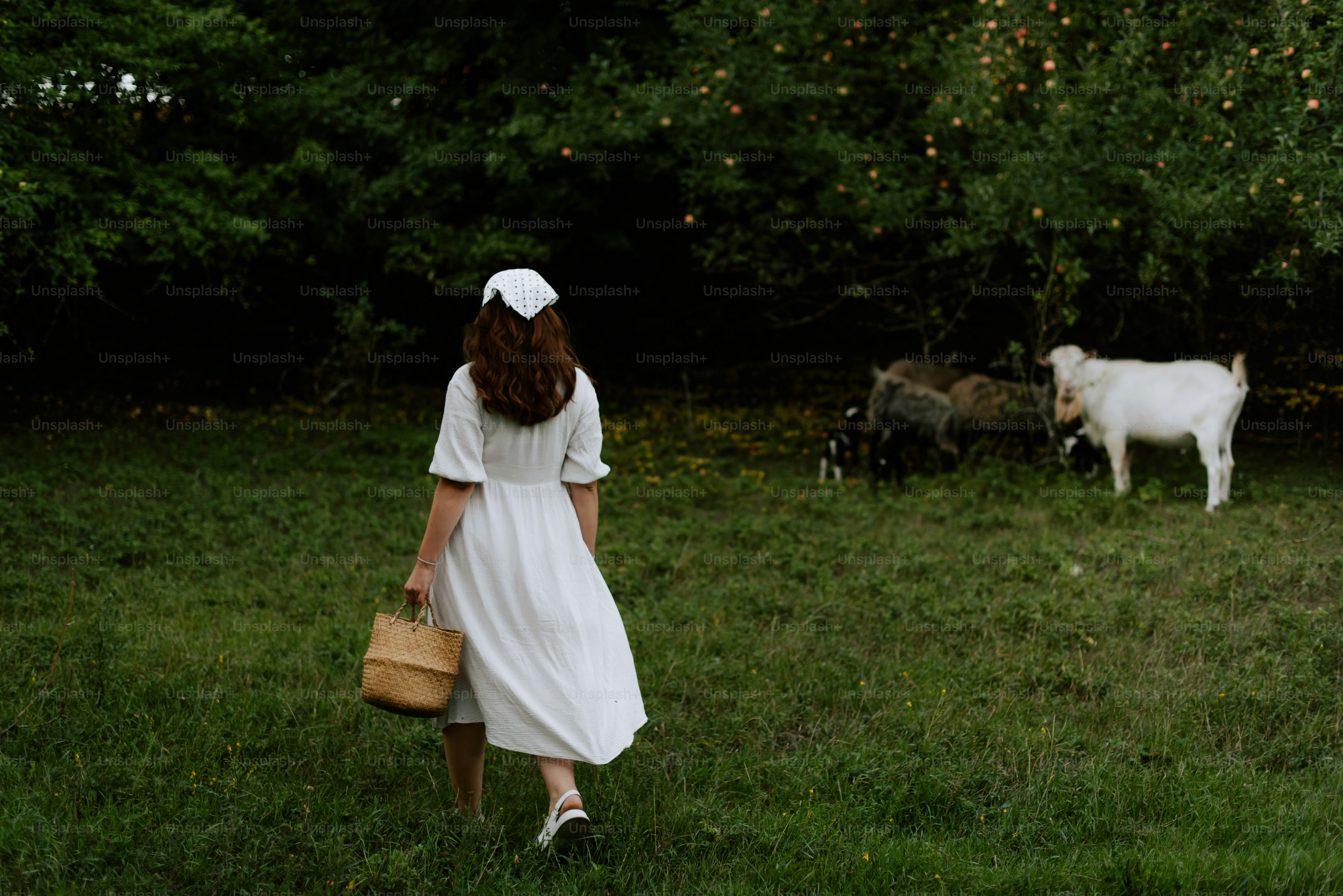 Una mujer con un vestido blanco y un perro en un campo