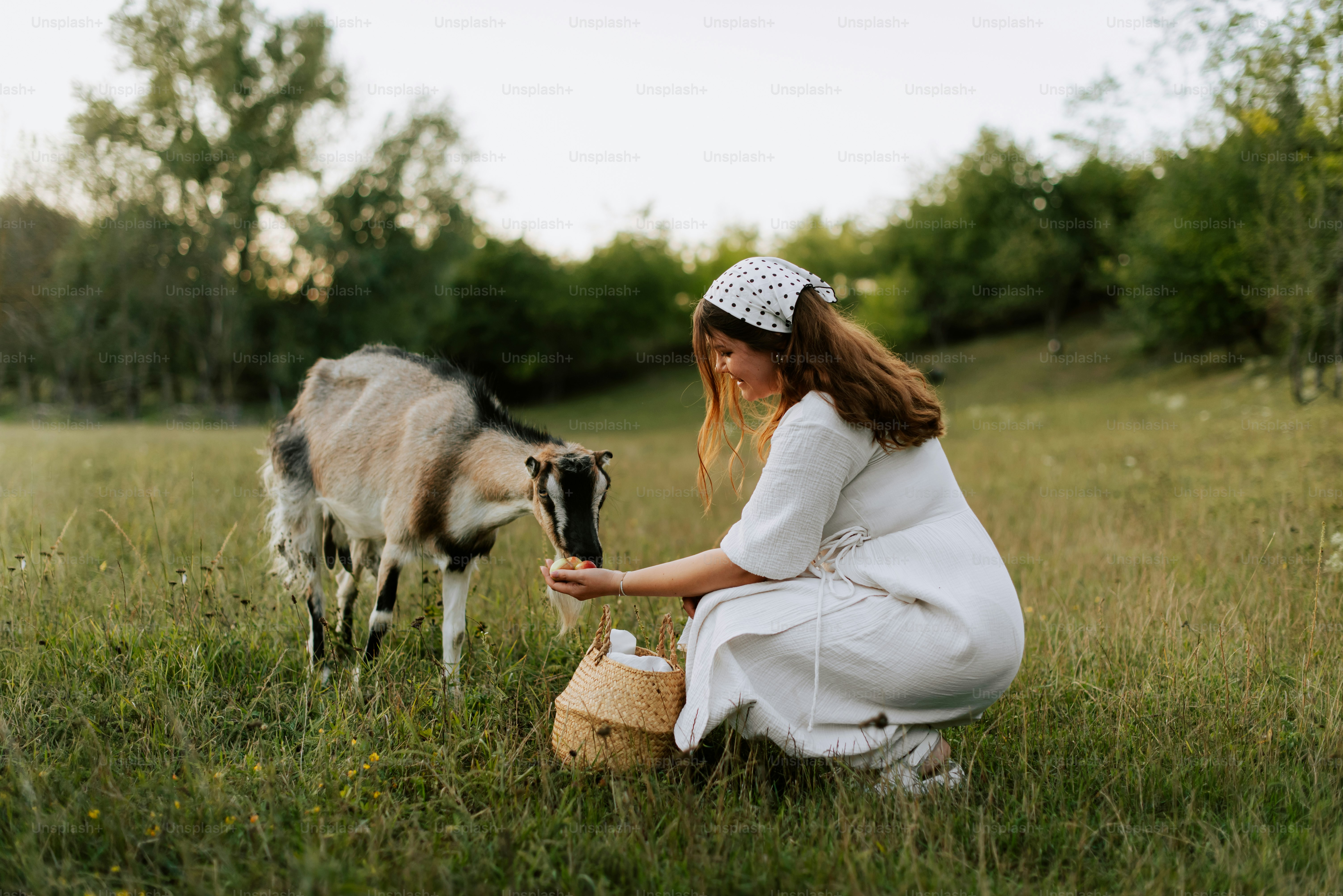 A woman kneeling down next to a baby goat