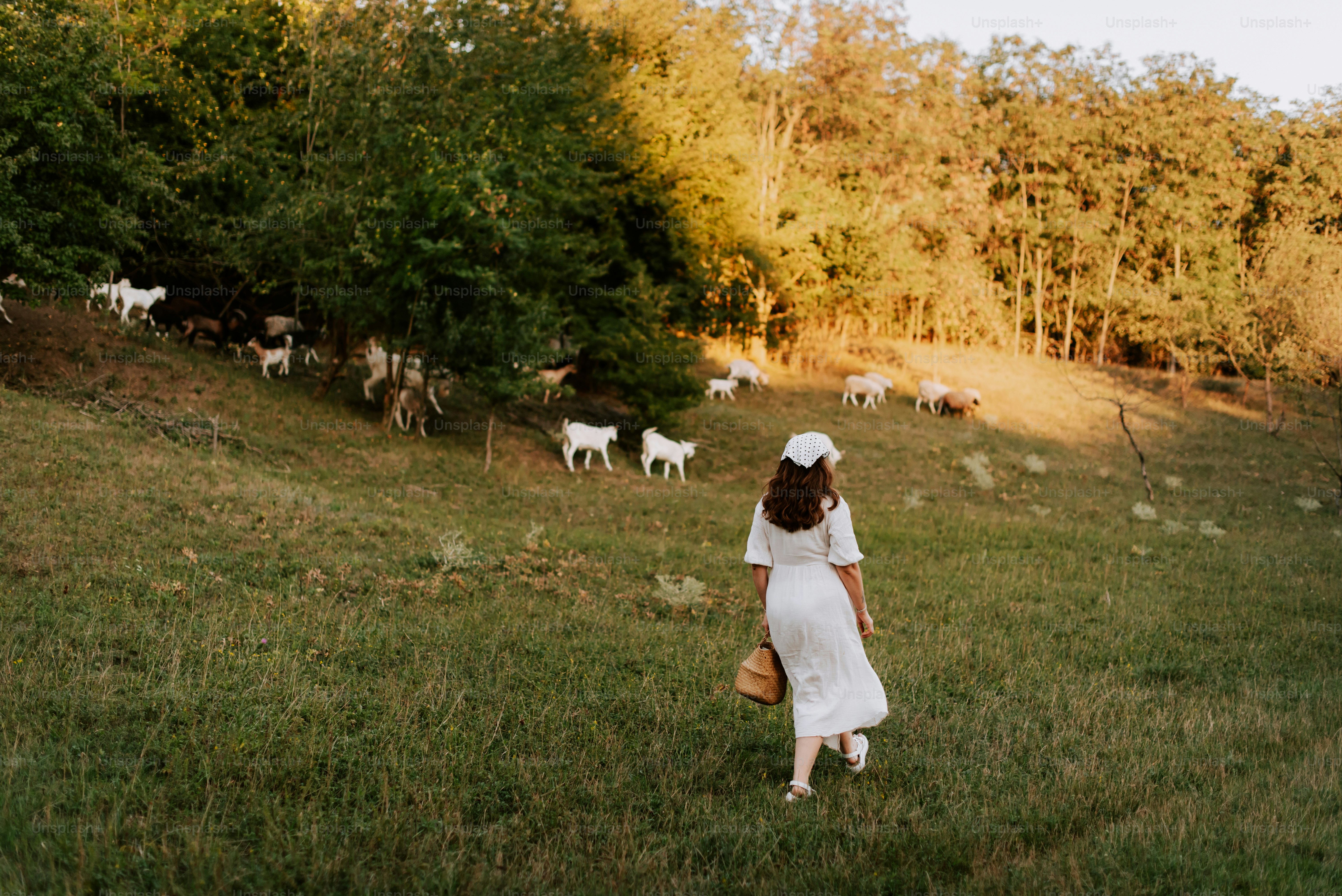 Una mujer con un vestido blanco camina por un campo