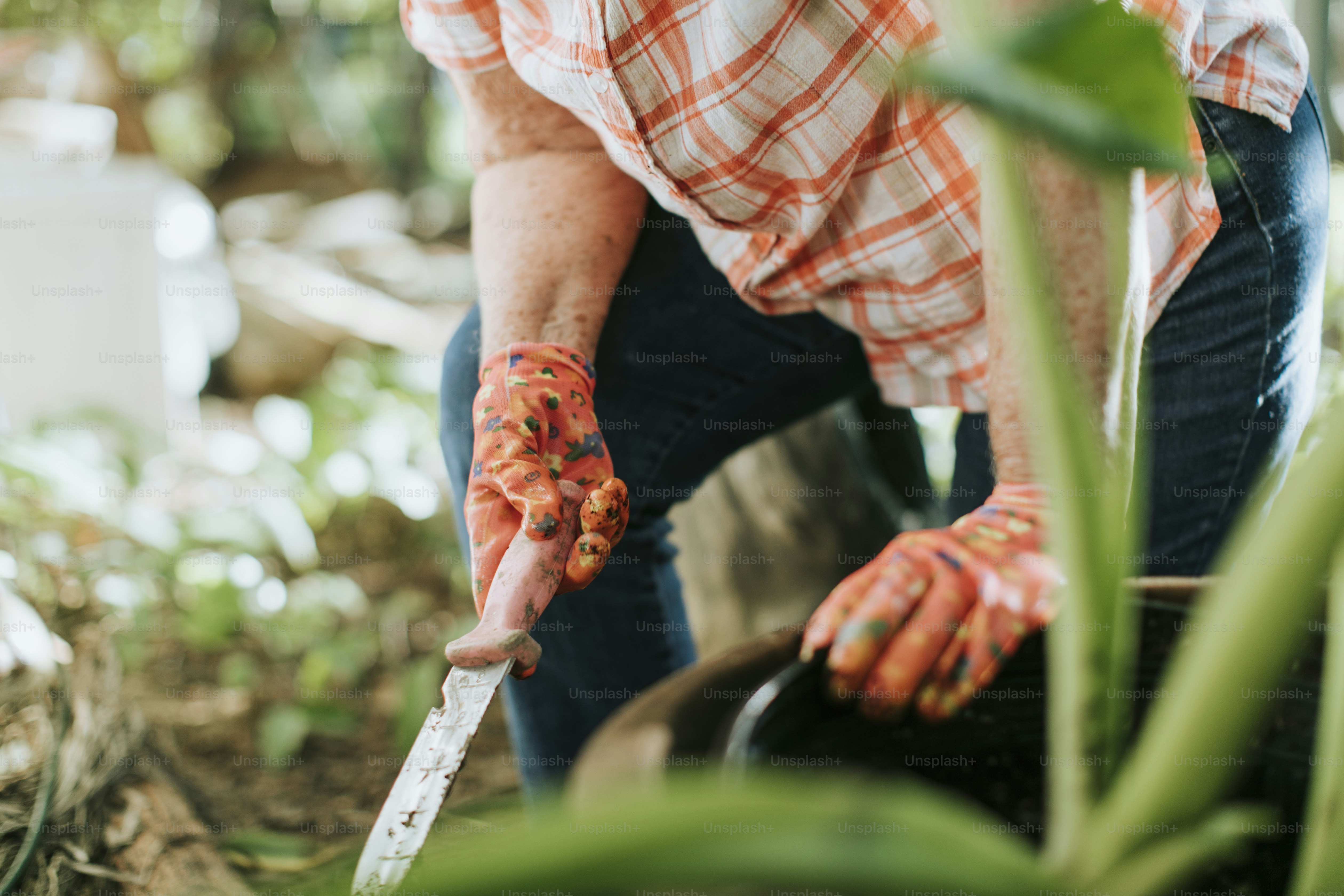 Woman digging in her garden photo – Senior adult Image on Unsplash