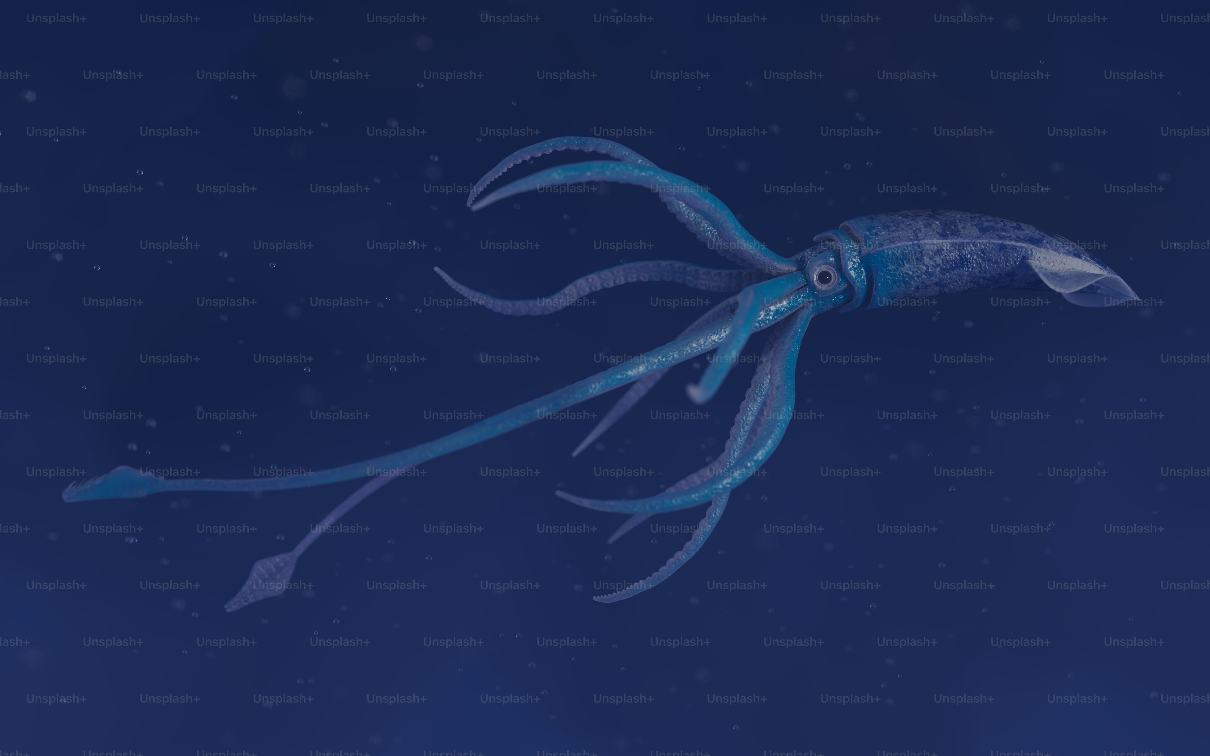 A blue squid floating in the ocean at night