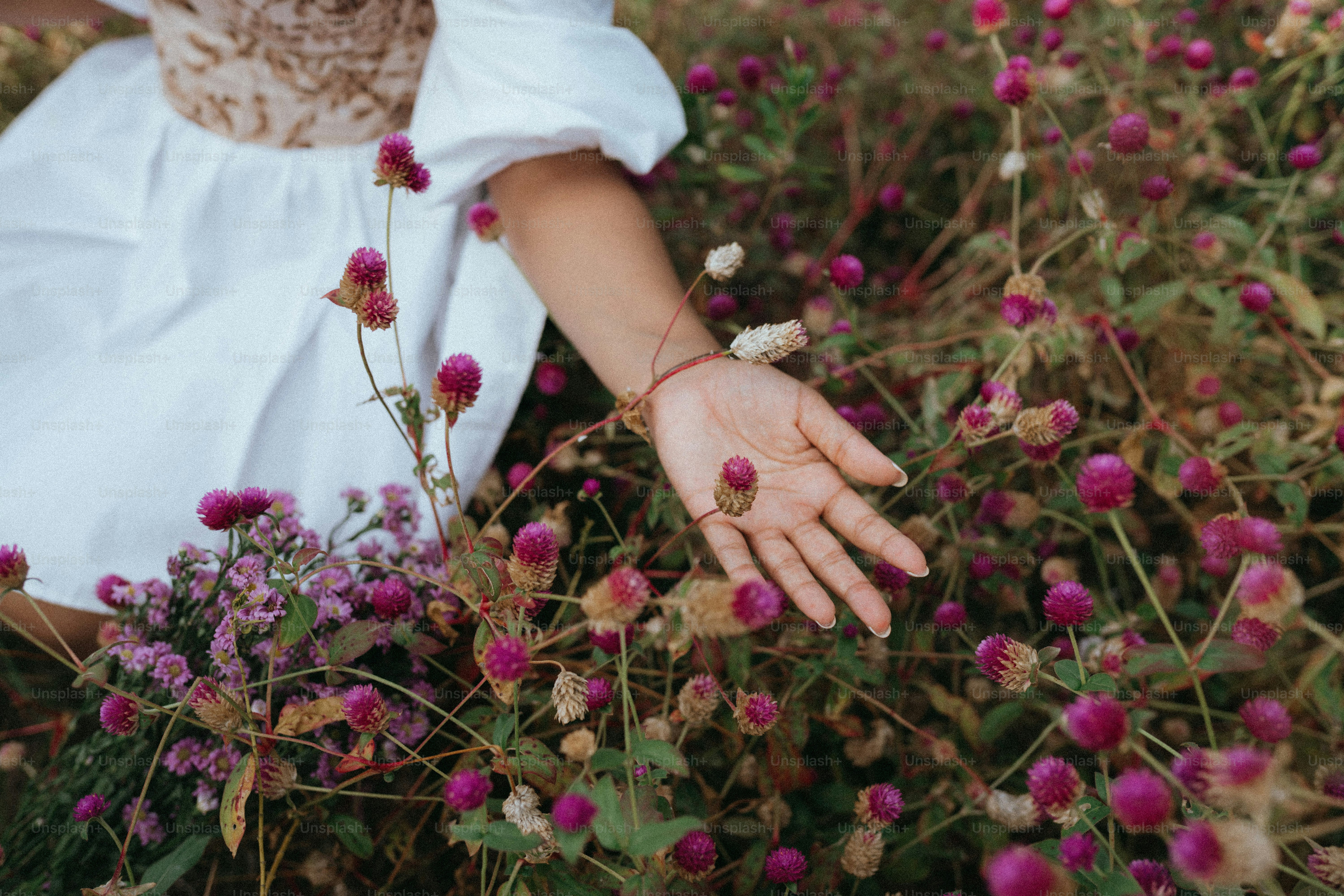 A young girl in a white dress standing in a garden photo – Meadow Image ...