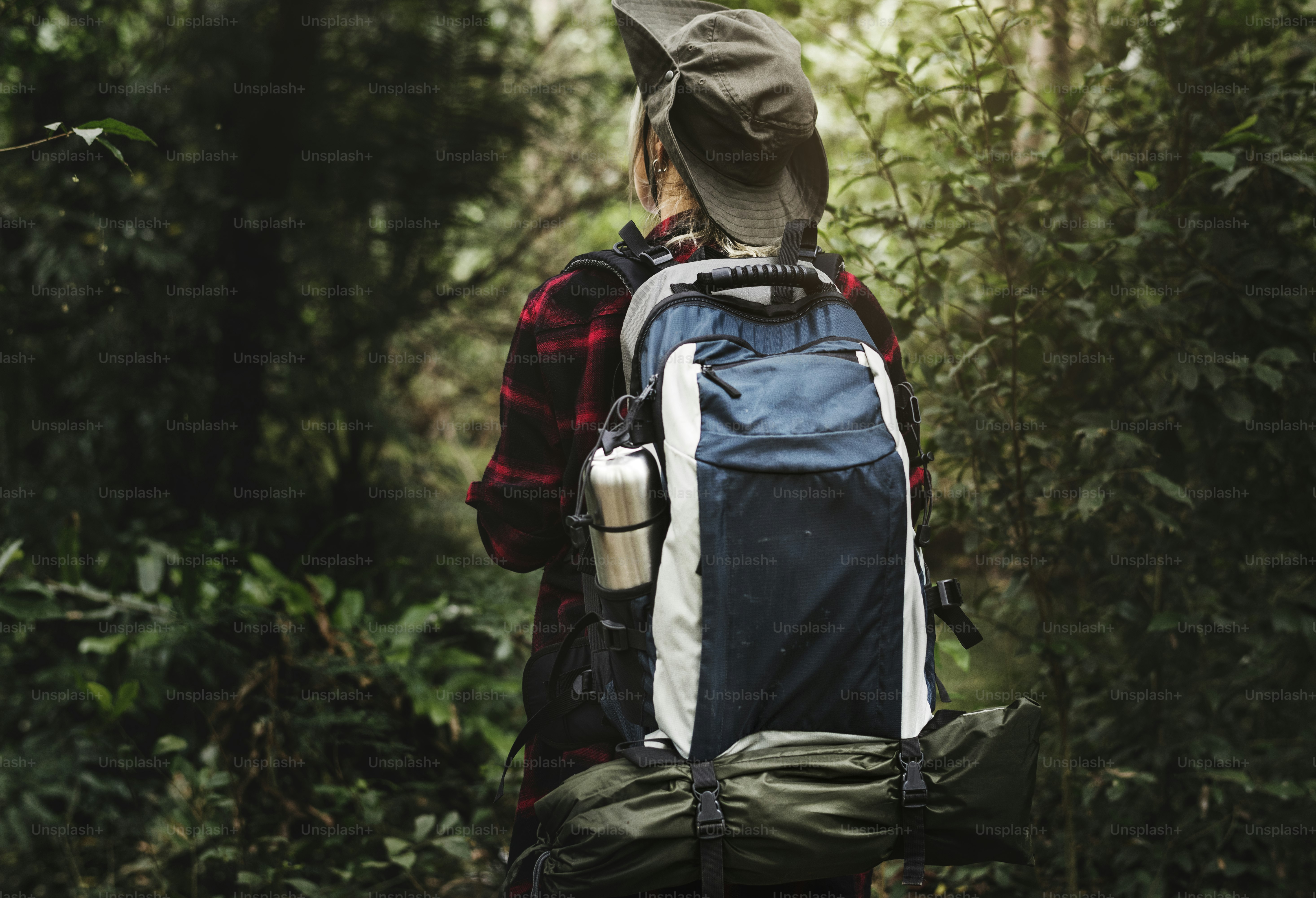 Trekking im Wald