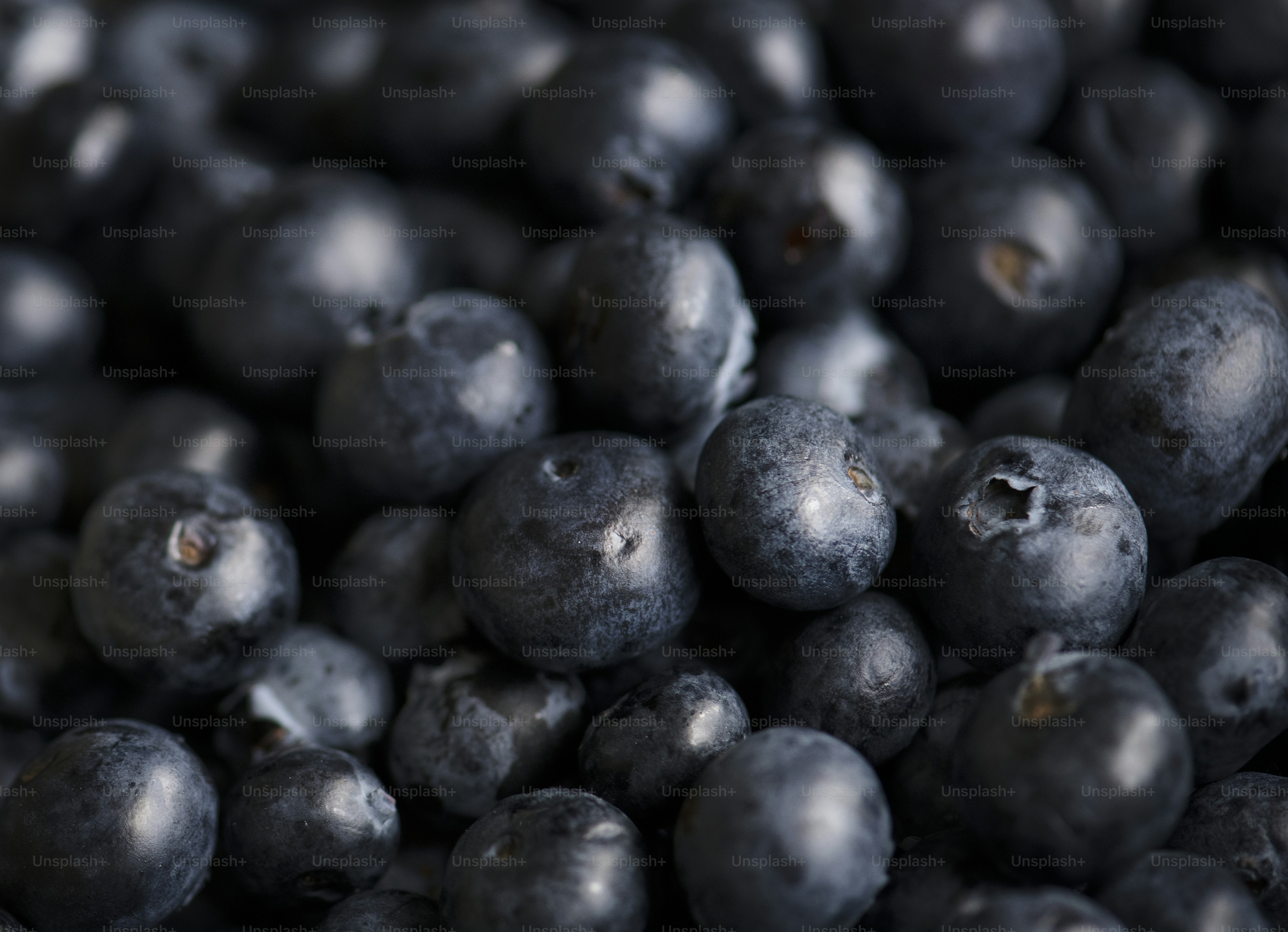 Closeup of fresh organic blueberries photo – Food Image on Unsplash