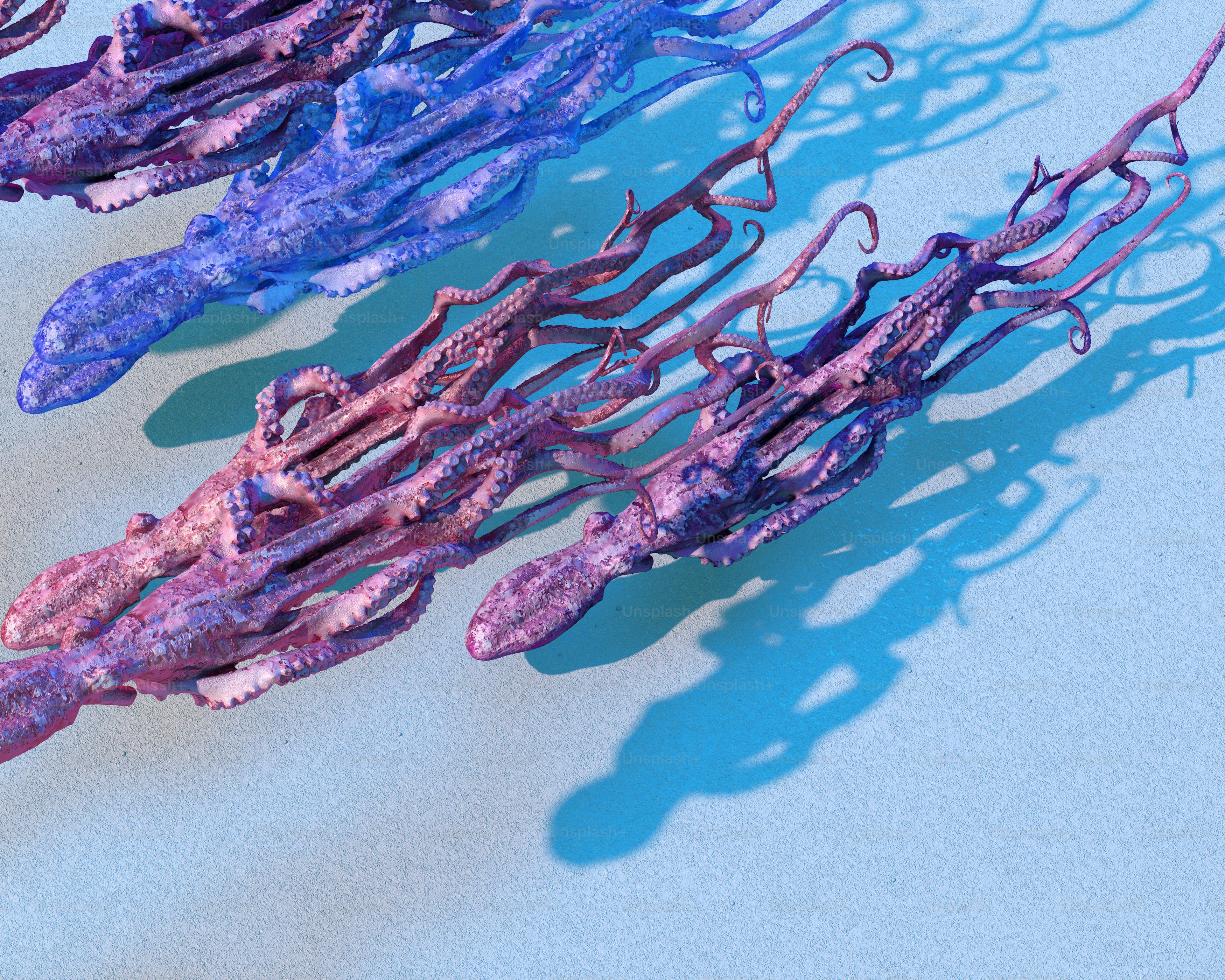 A group of purple seaweed floating on top of a blue surface