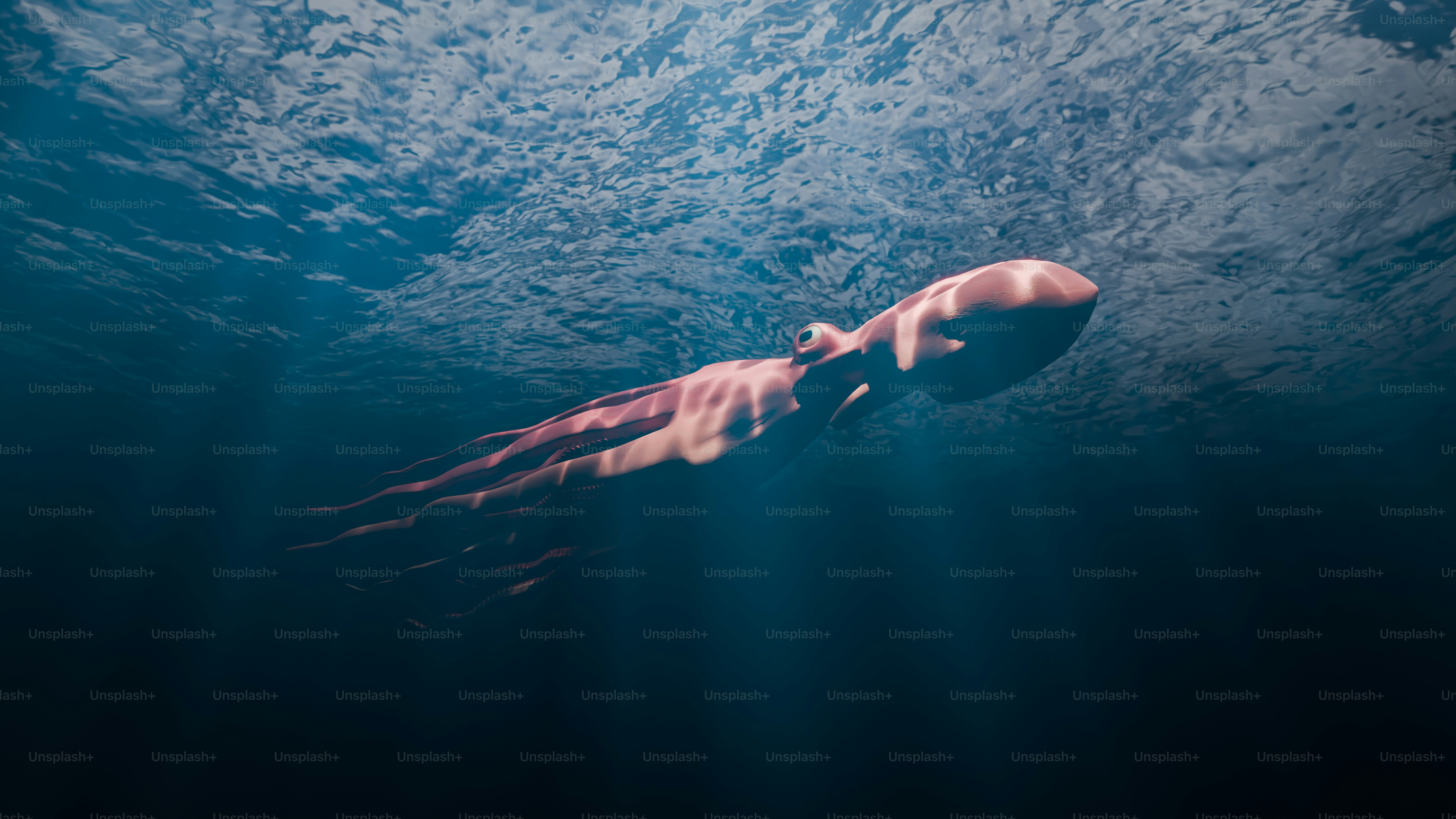 Bitcoin Whale Exchange Transfers Spike As Capital Rotation Begins — Latest Altseason Signal?