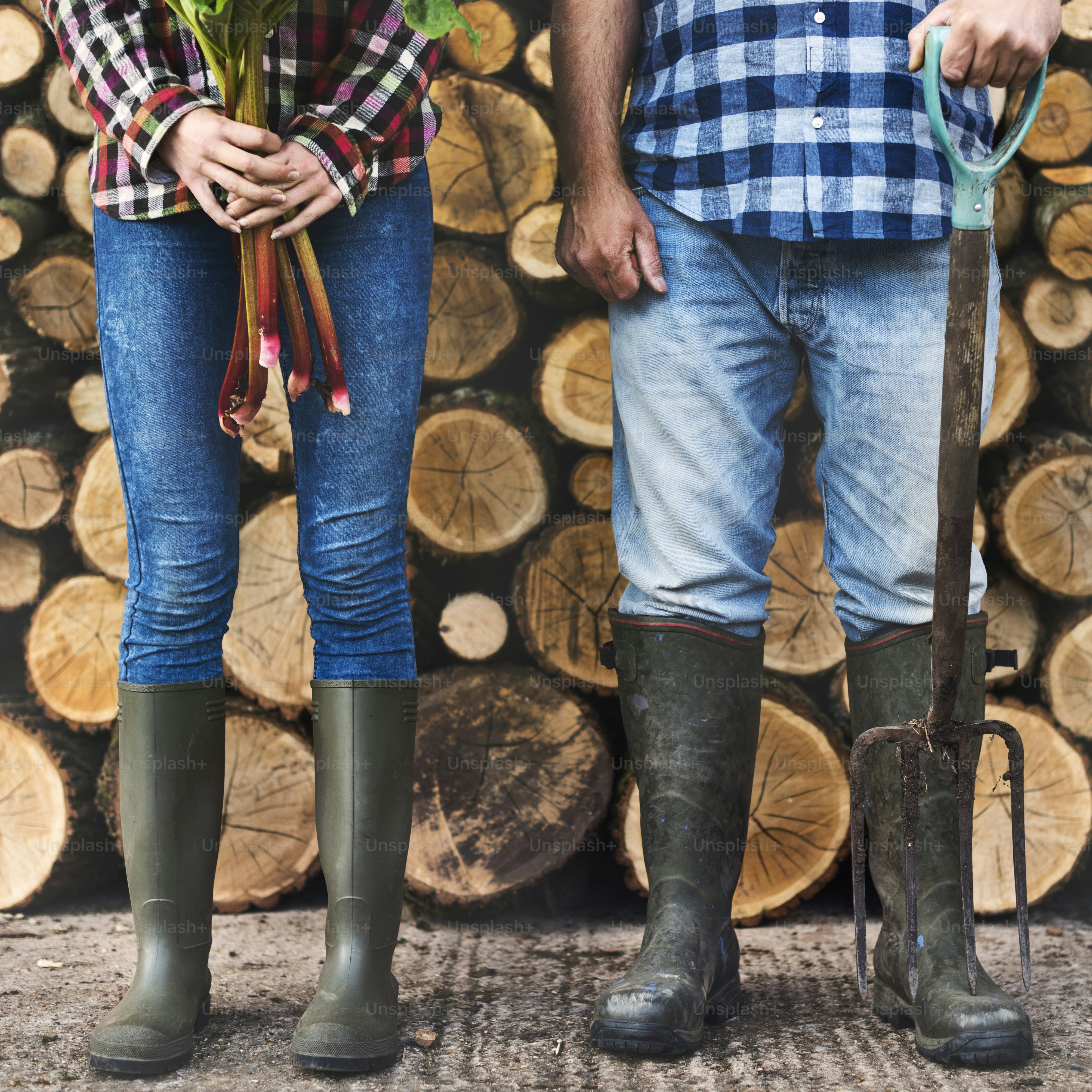 Firewood Fuelwood Lumber Timber Lumber Log Concept