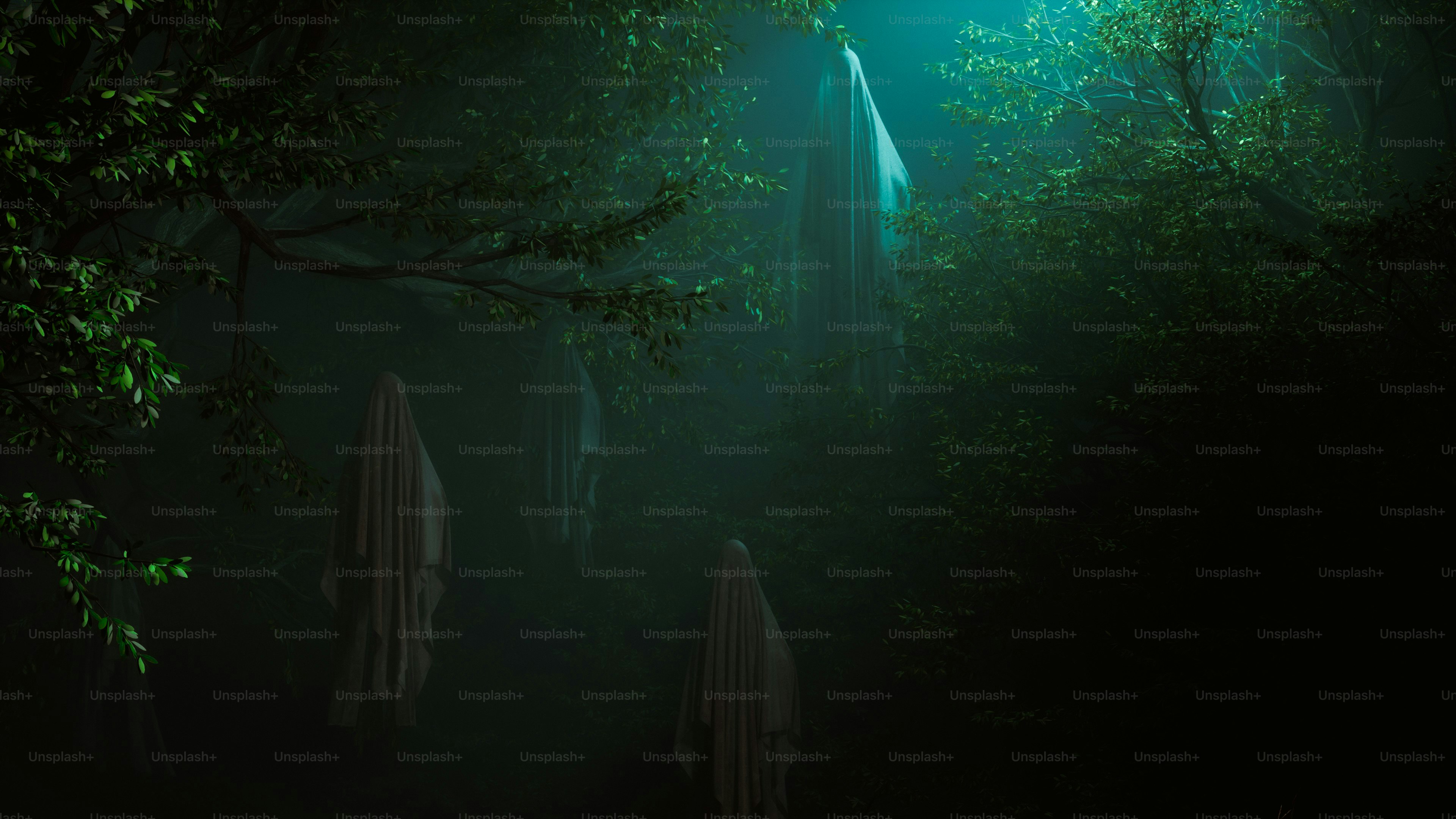 A forest filled with lots of green trees