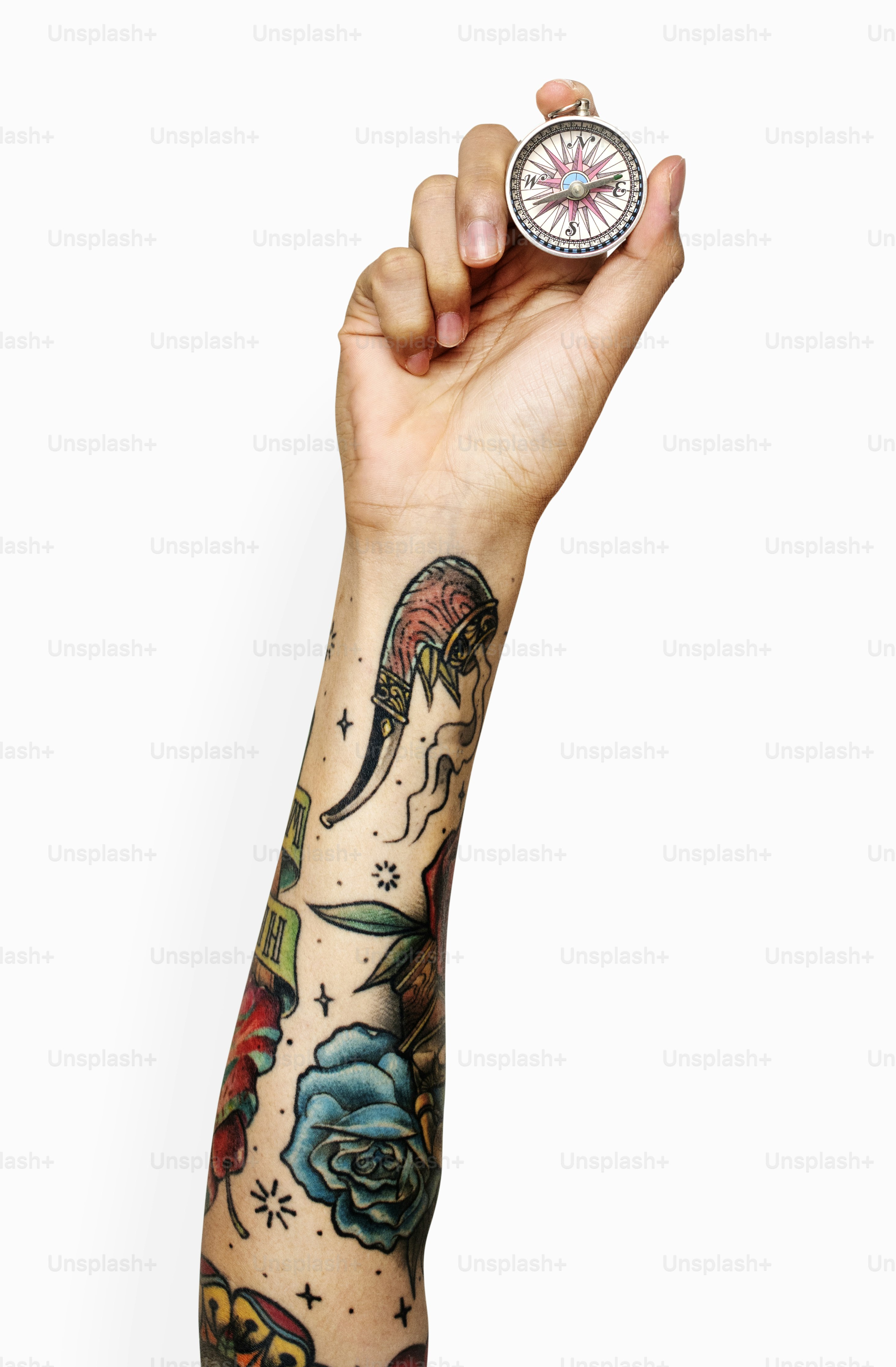 Hand holding variation of object