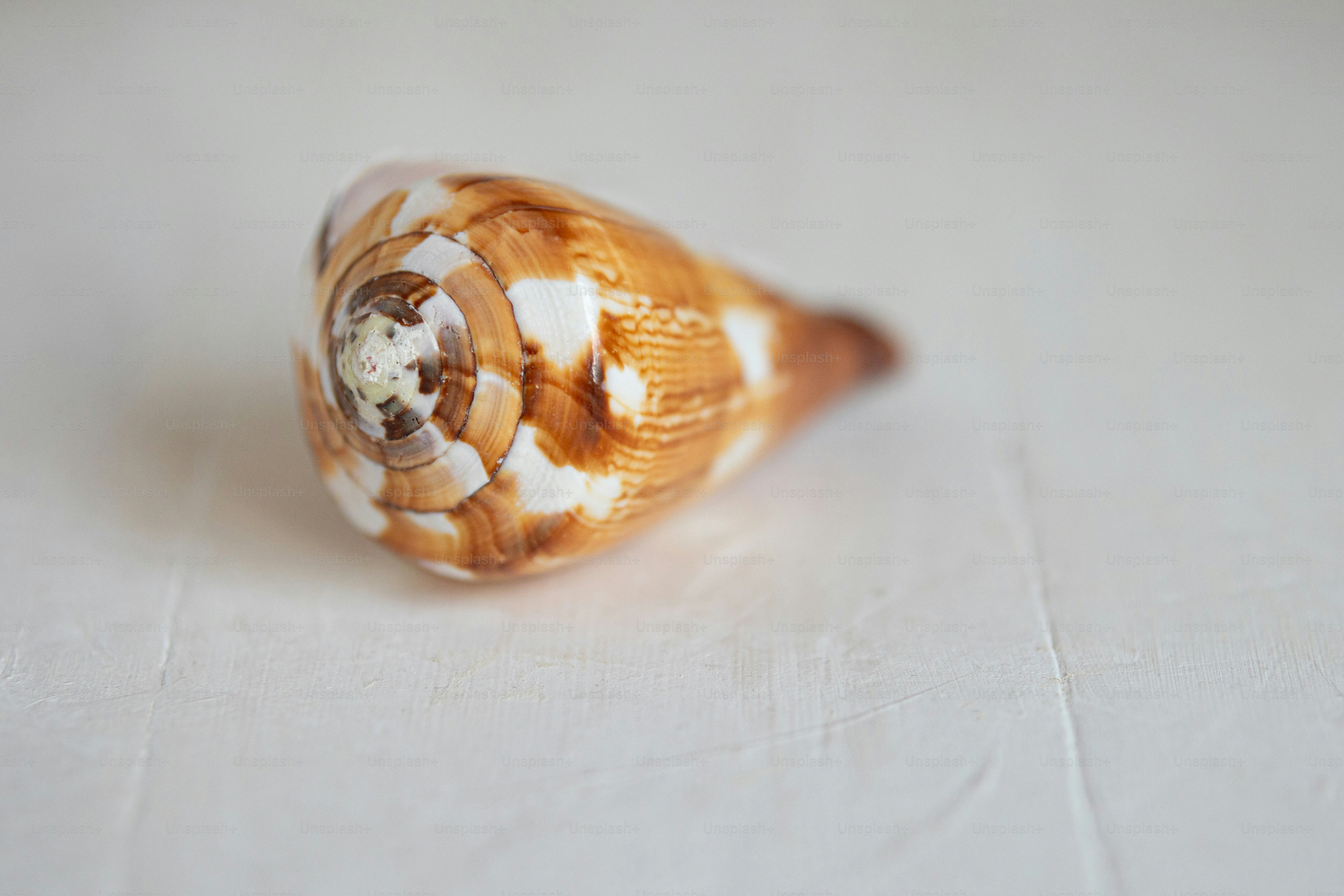A close up of a small object on a table