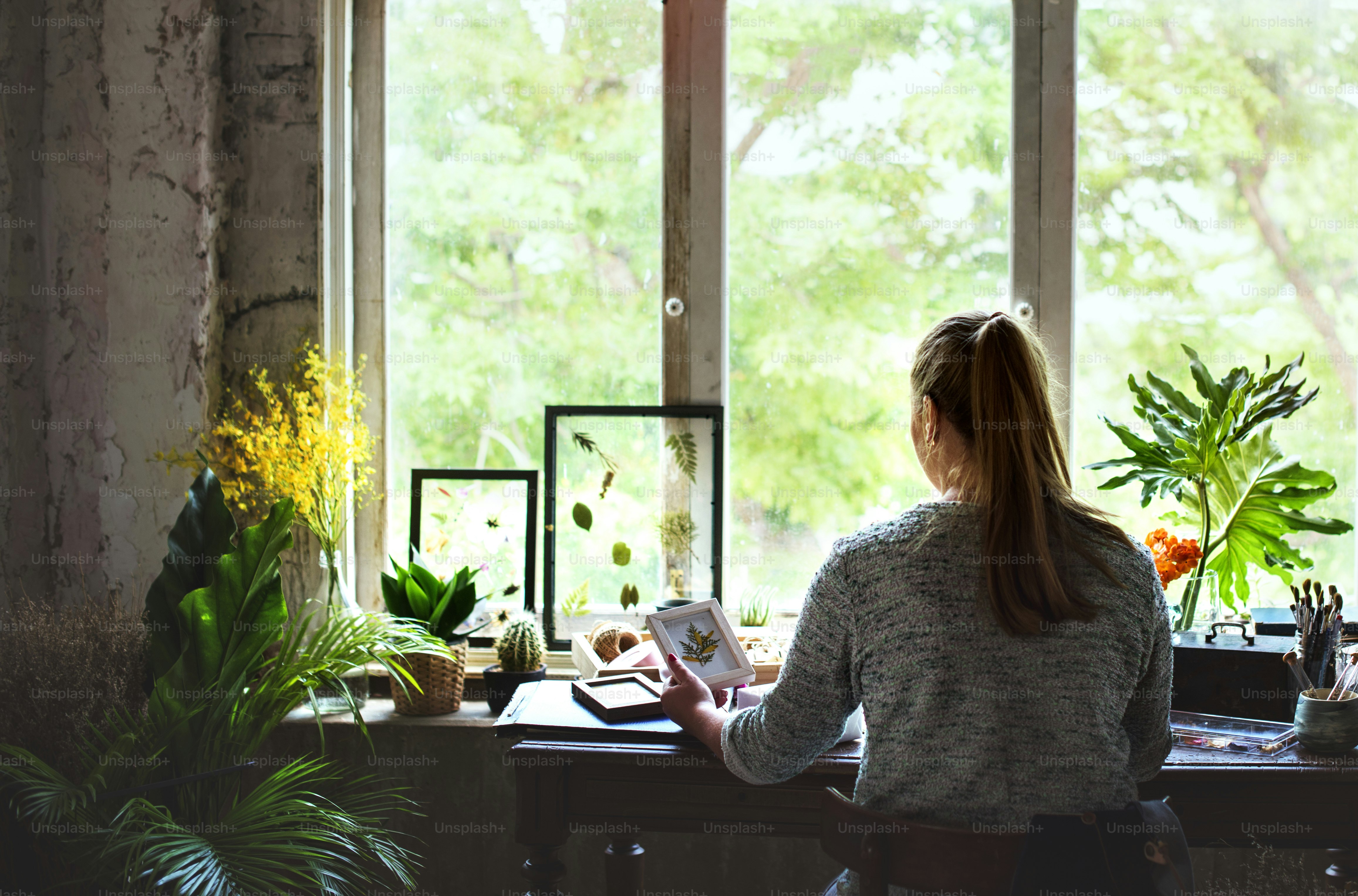 A woman working by the window among the flower photo – Flower Image on ...