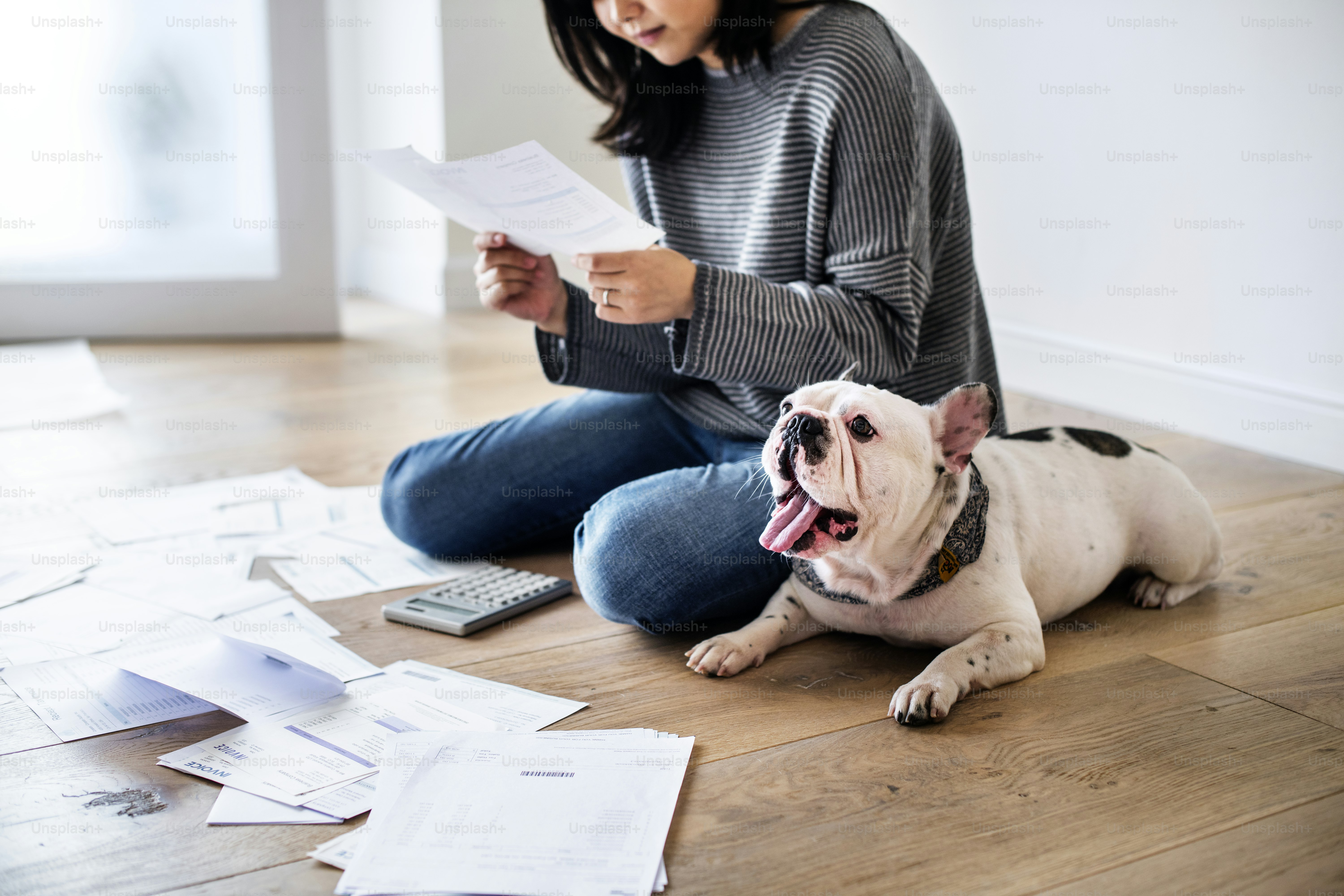 Which Questions Should You Ask an Exotic Animal Veterinarian?