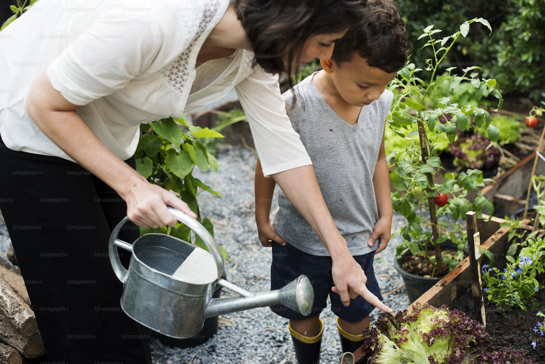 Telemetría e Ingeniería GIS en Terreno
