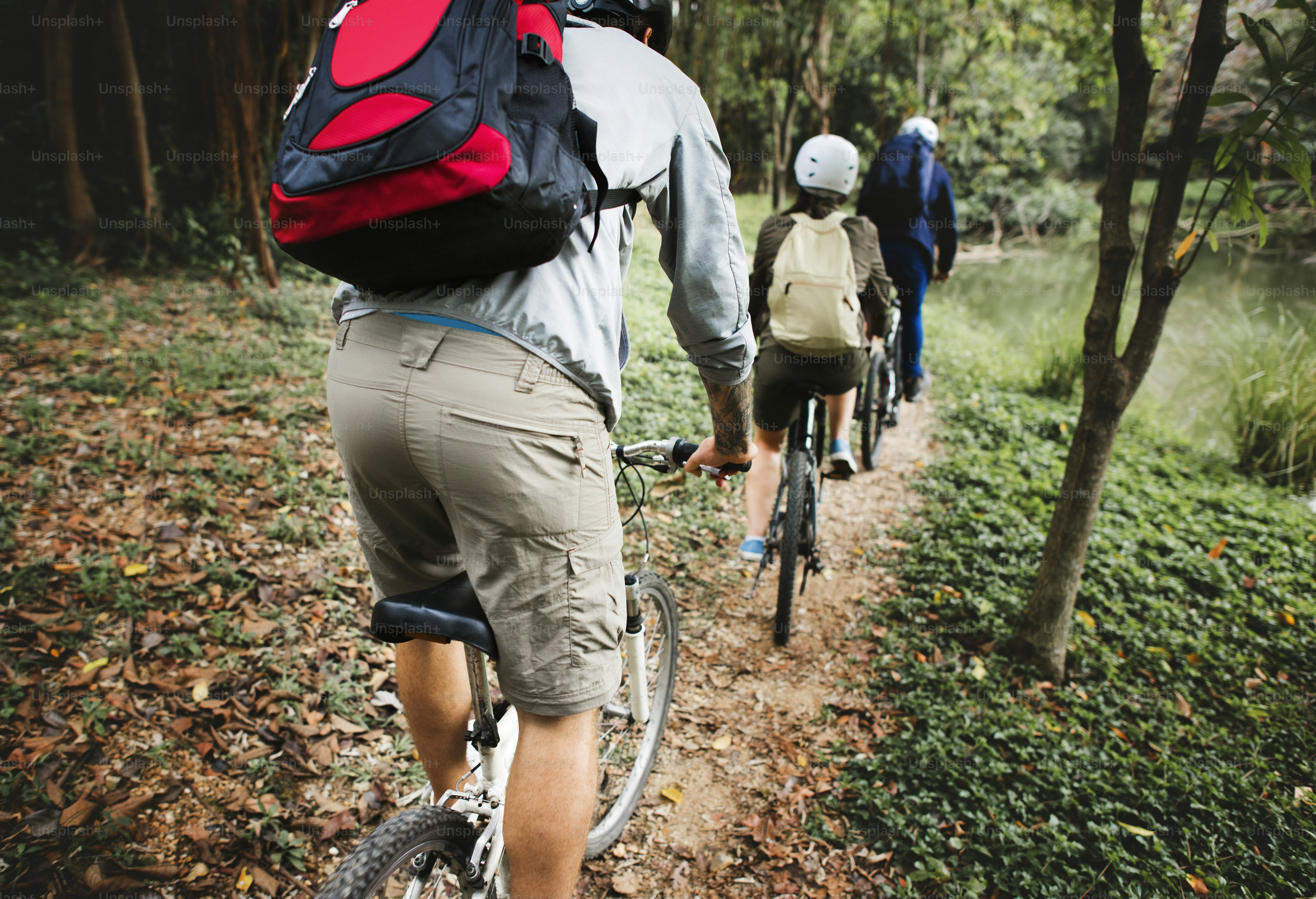 Group of friends ride mountain bike in the forest together