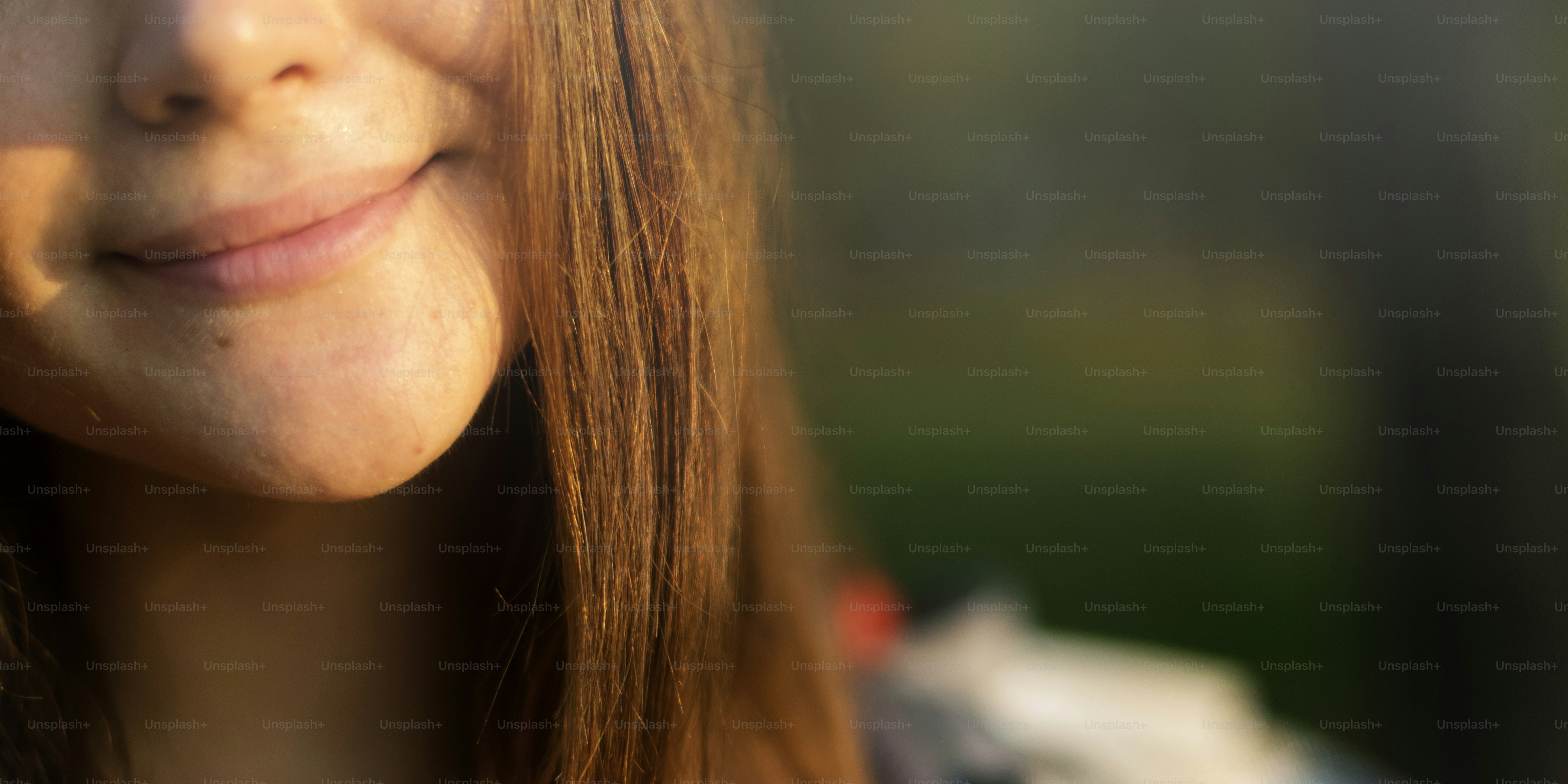 Wanderlust Pigeon Traveler Lifestyle Nature Trip Concept