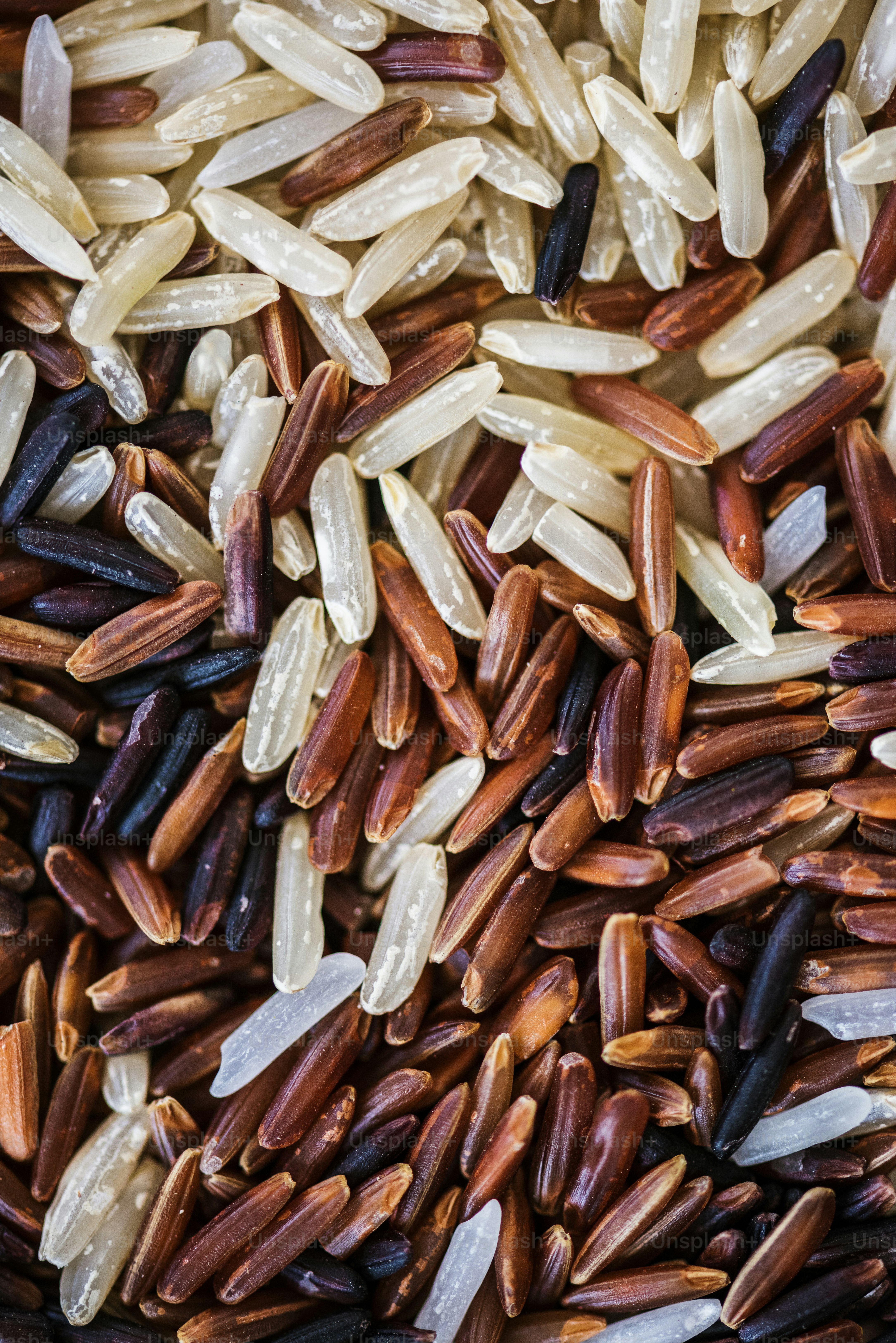 Closeup of mixed rice