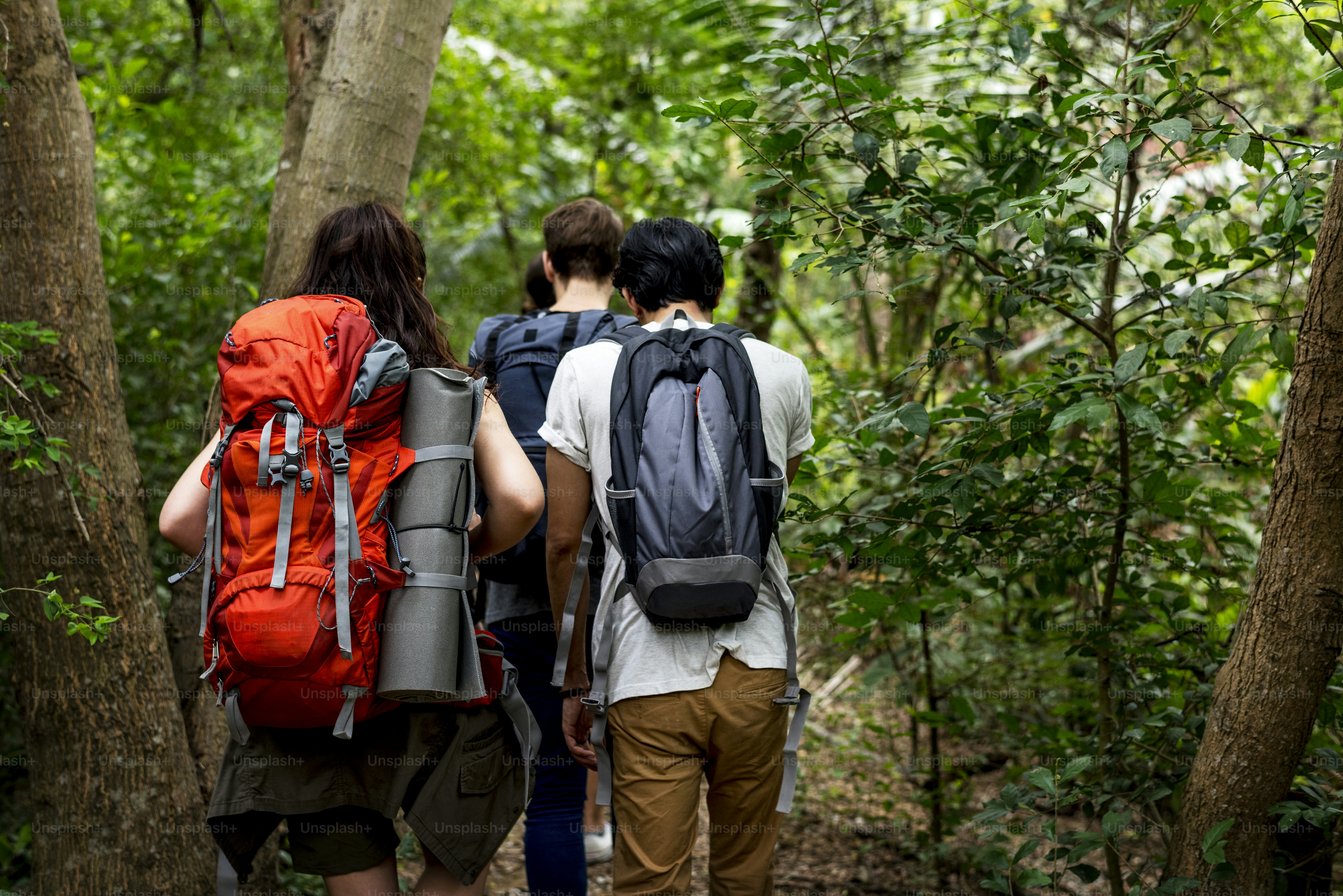 Trekking in a forest