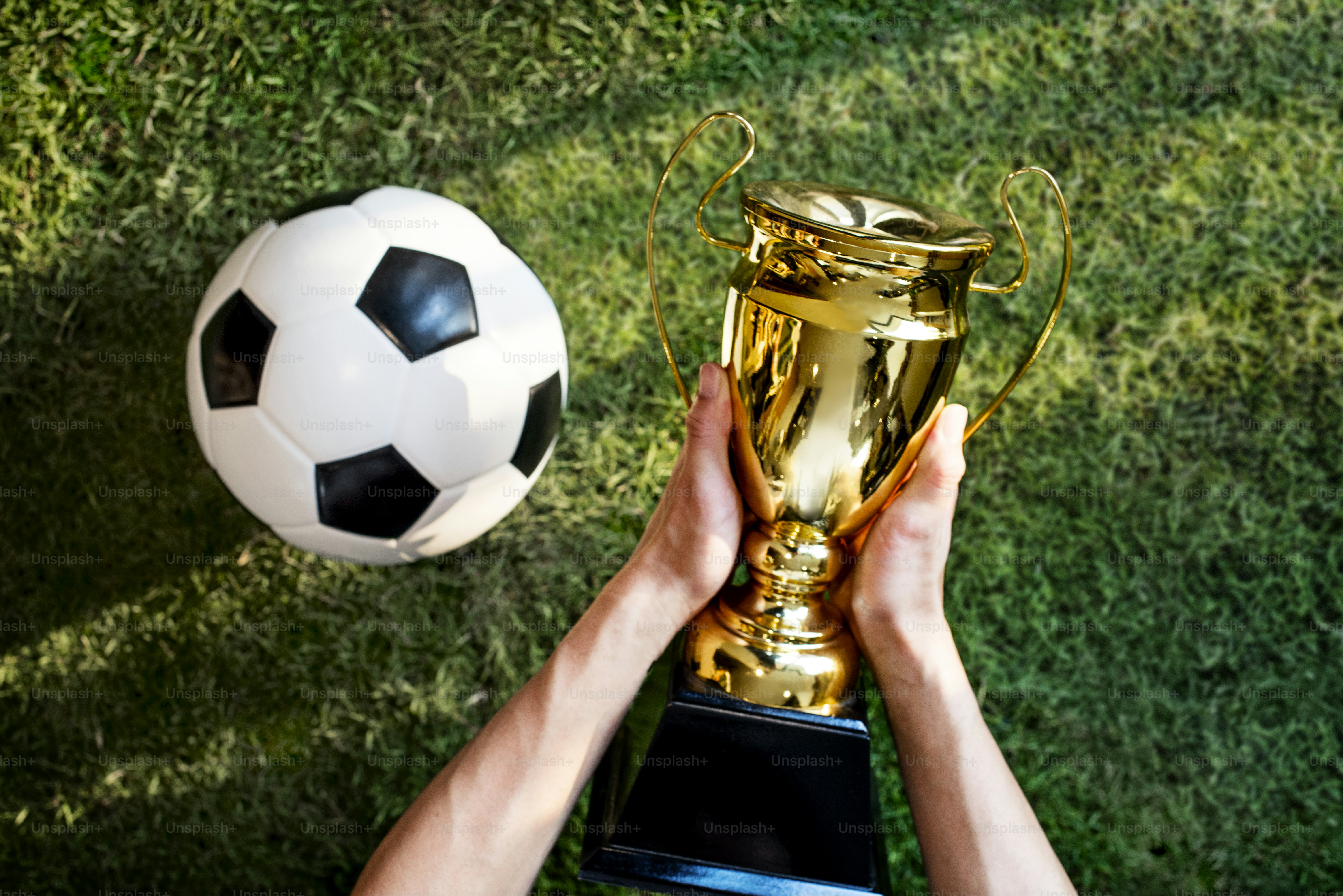 Hands holding a soccer prize