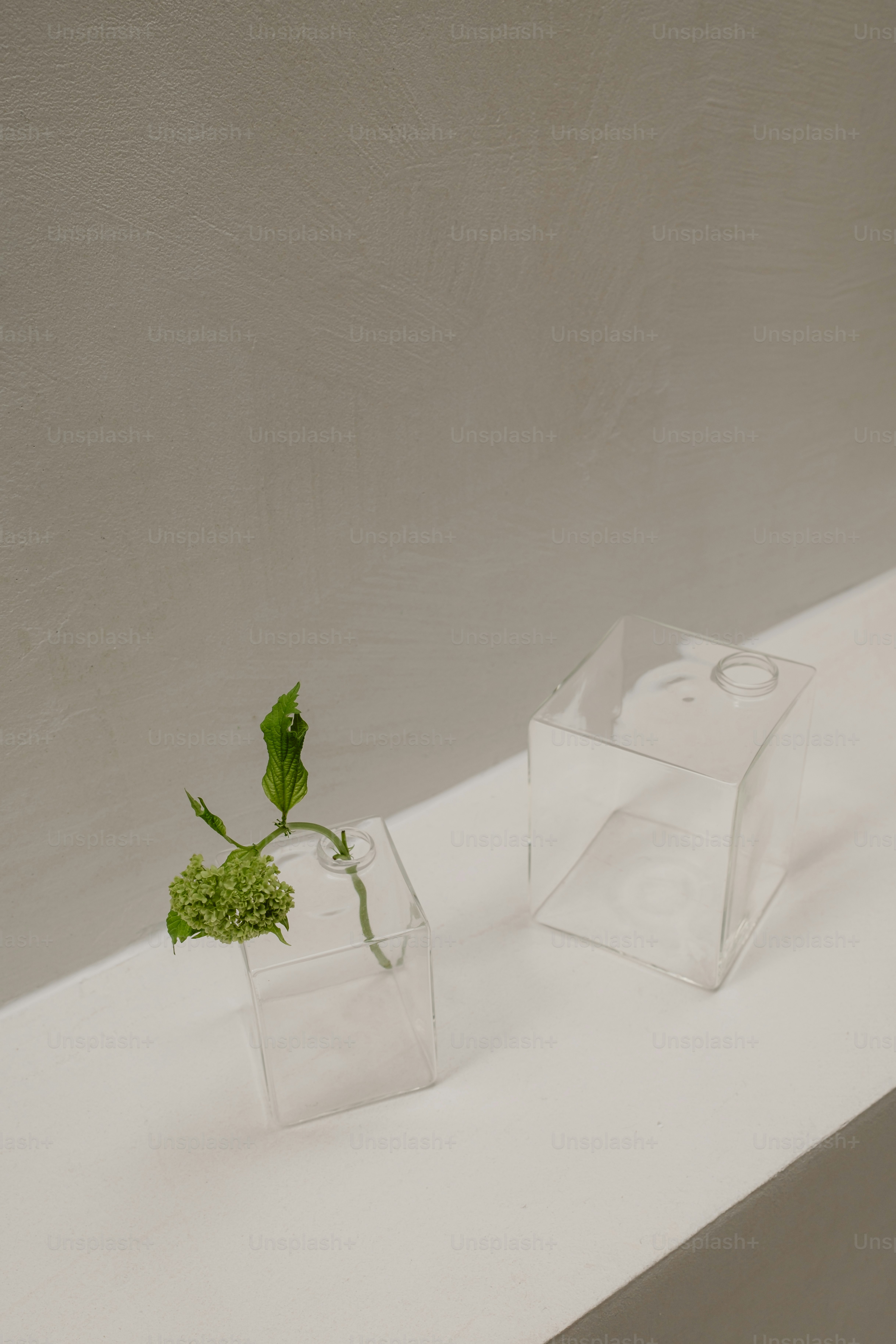 テーブルの上には植物が入った花瓶が置かれています