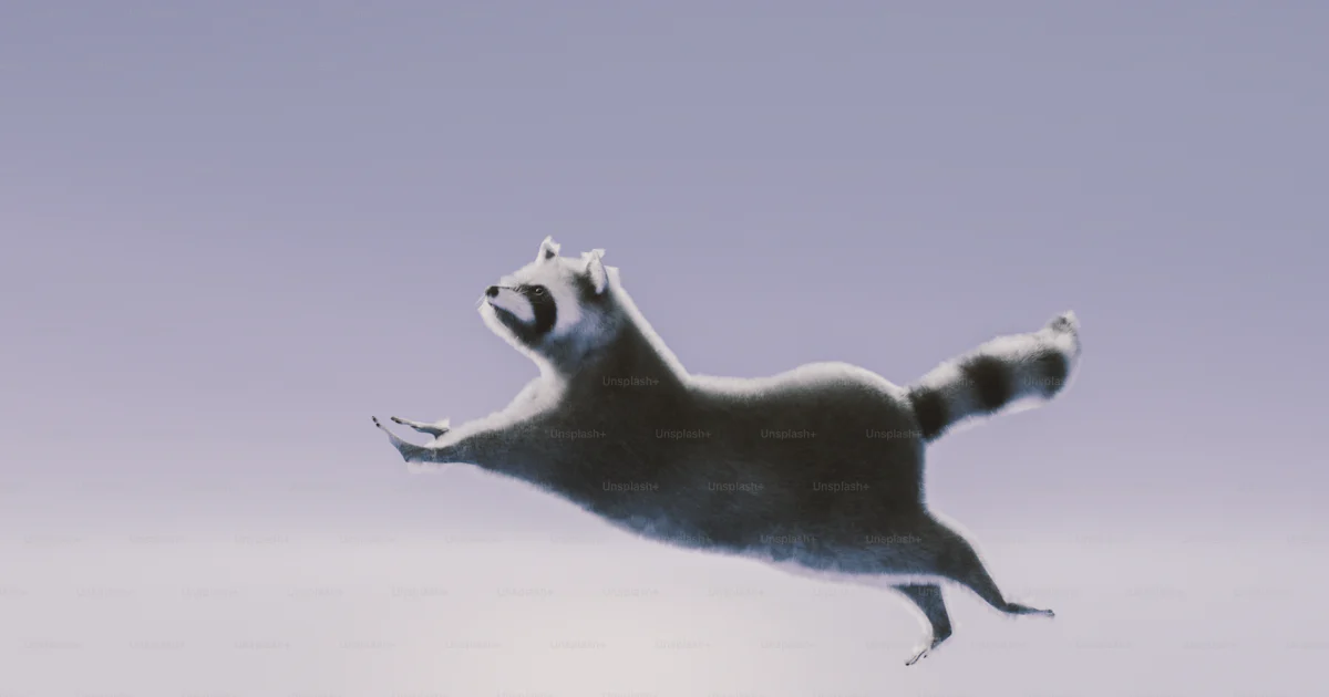 Flying Racoon Asia A blurry photo of a raccoon flying through the air photo – Nature Image ...