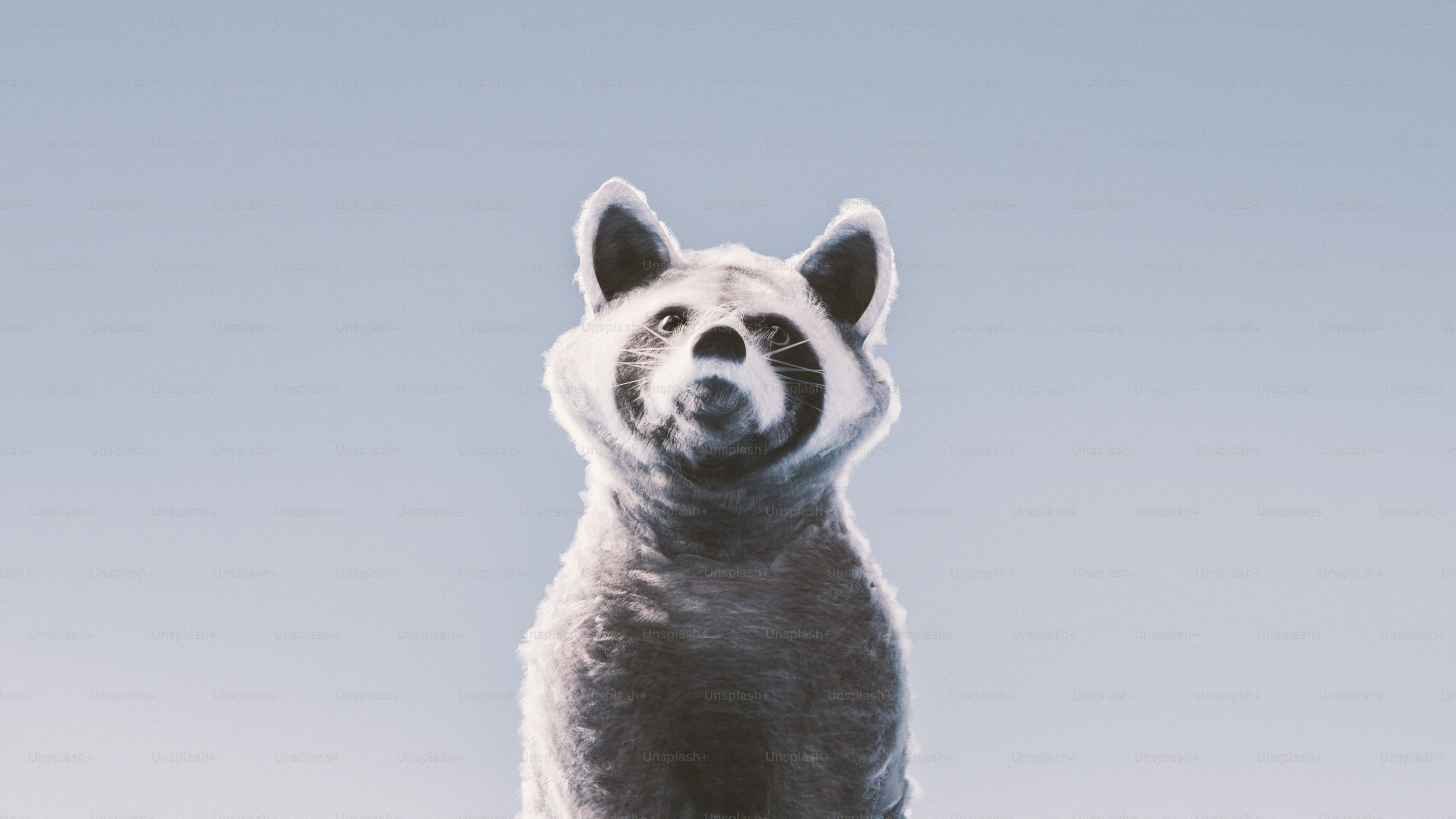 A blurry photo of a raccoon flying through the air photo – Animal Image ...