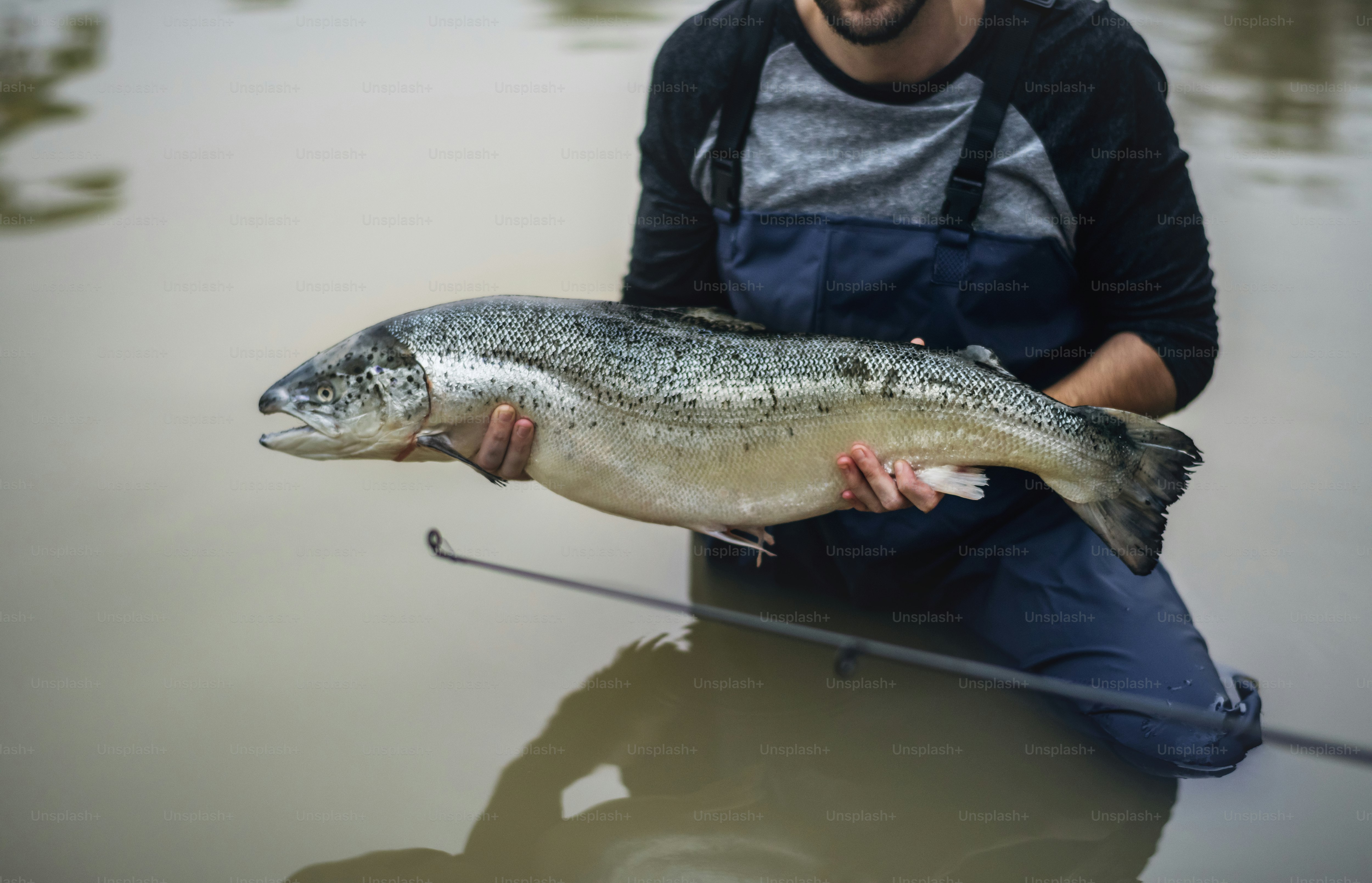 男は水中でサケの魚を捕まえた