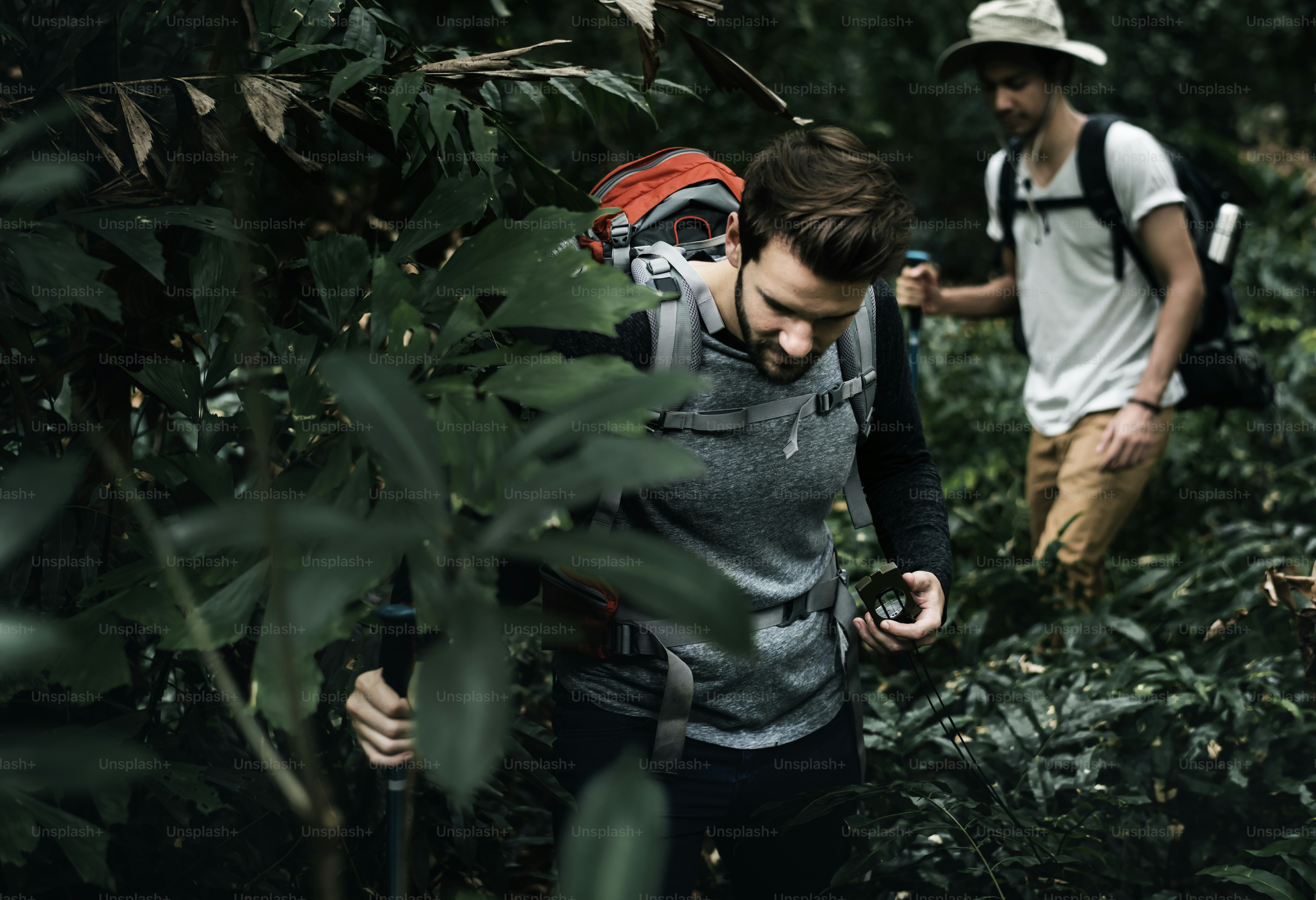 Trekking in a forest