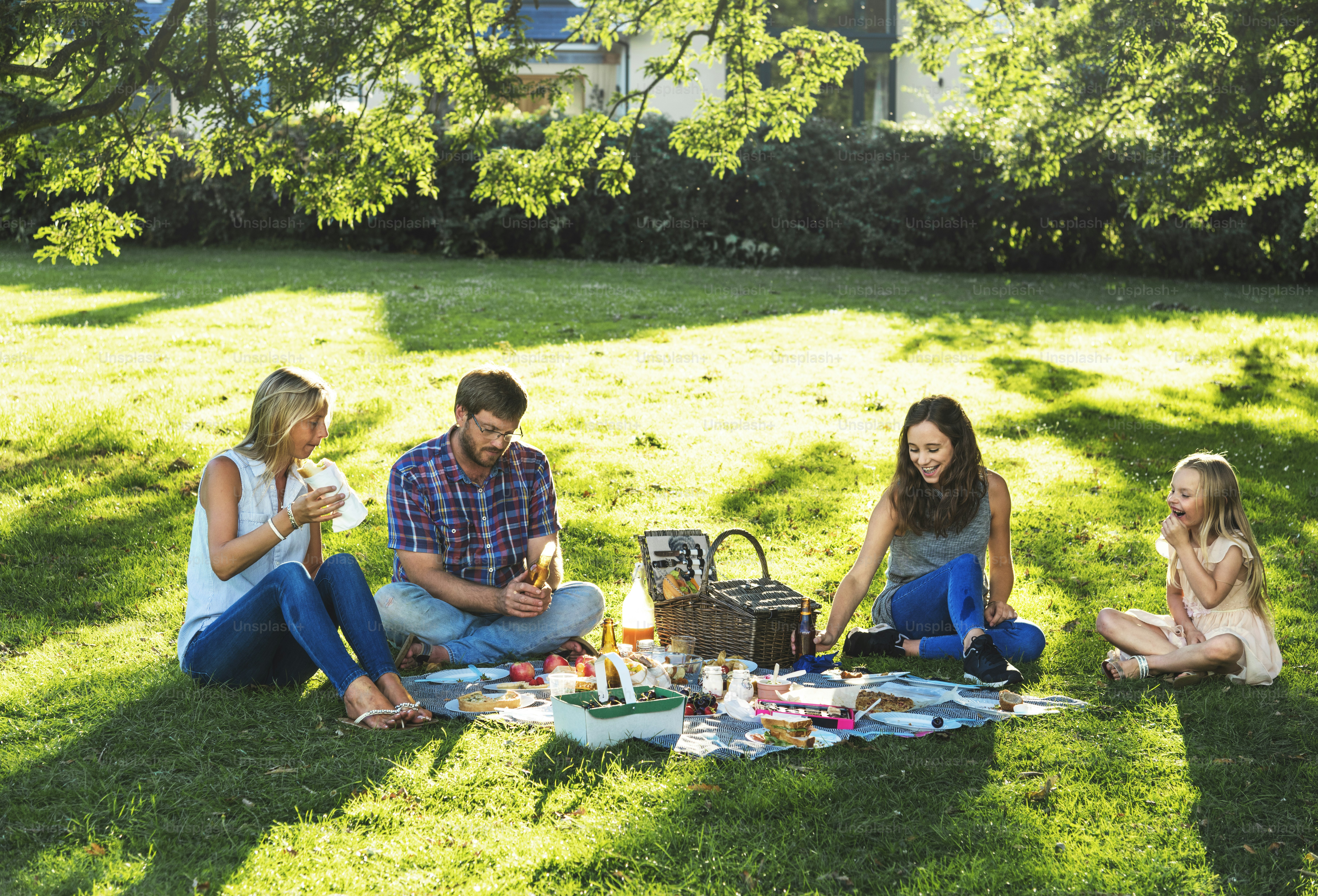 Family Picnic Outdoors Togetherness Relaxation Concept