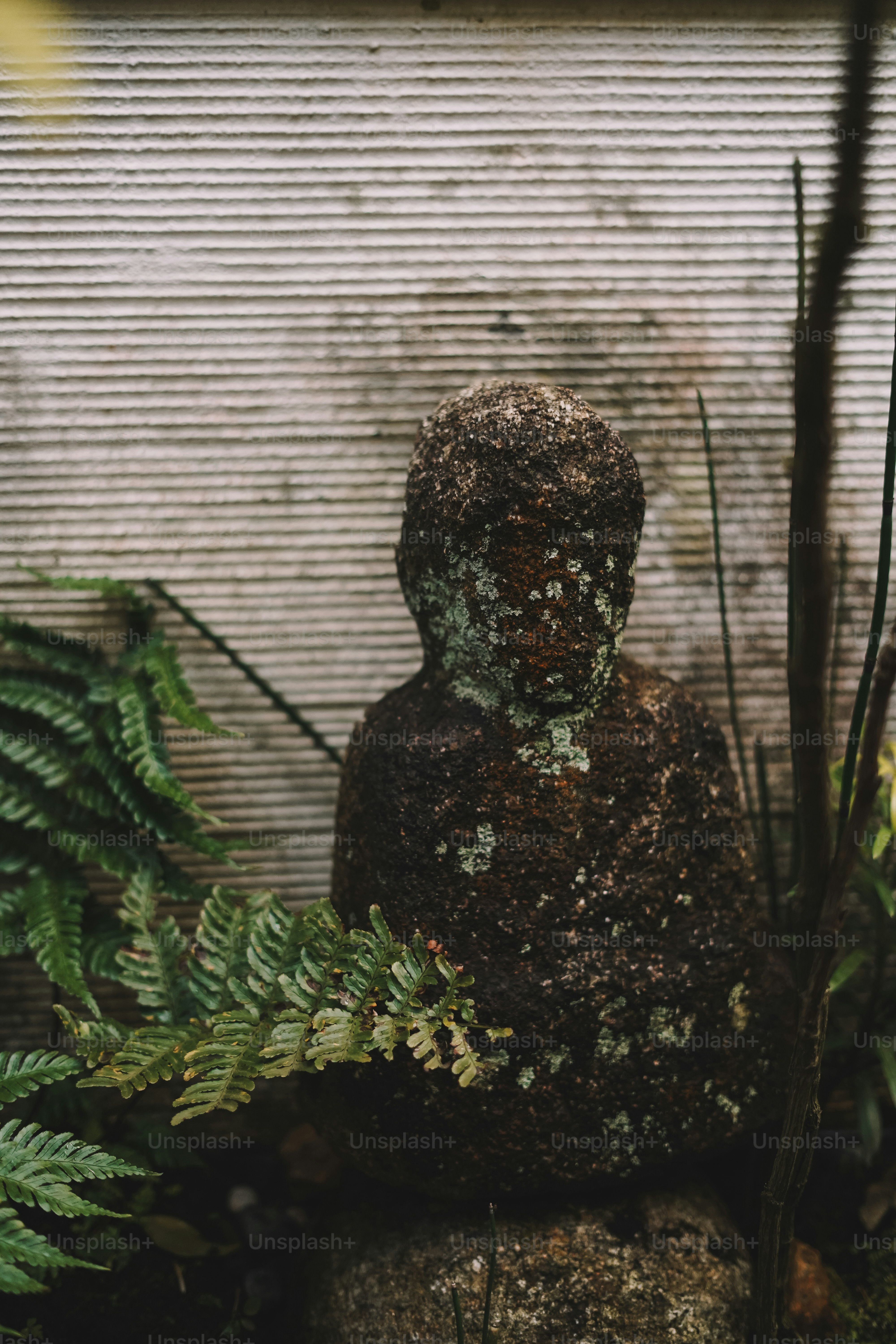 A statue of a person surrounded by plants