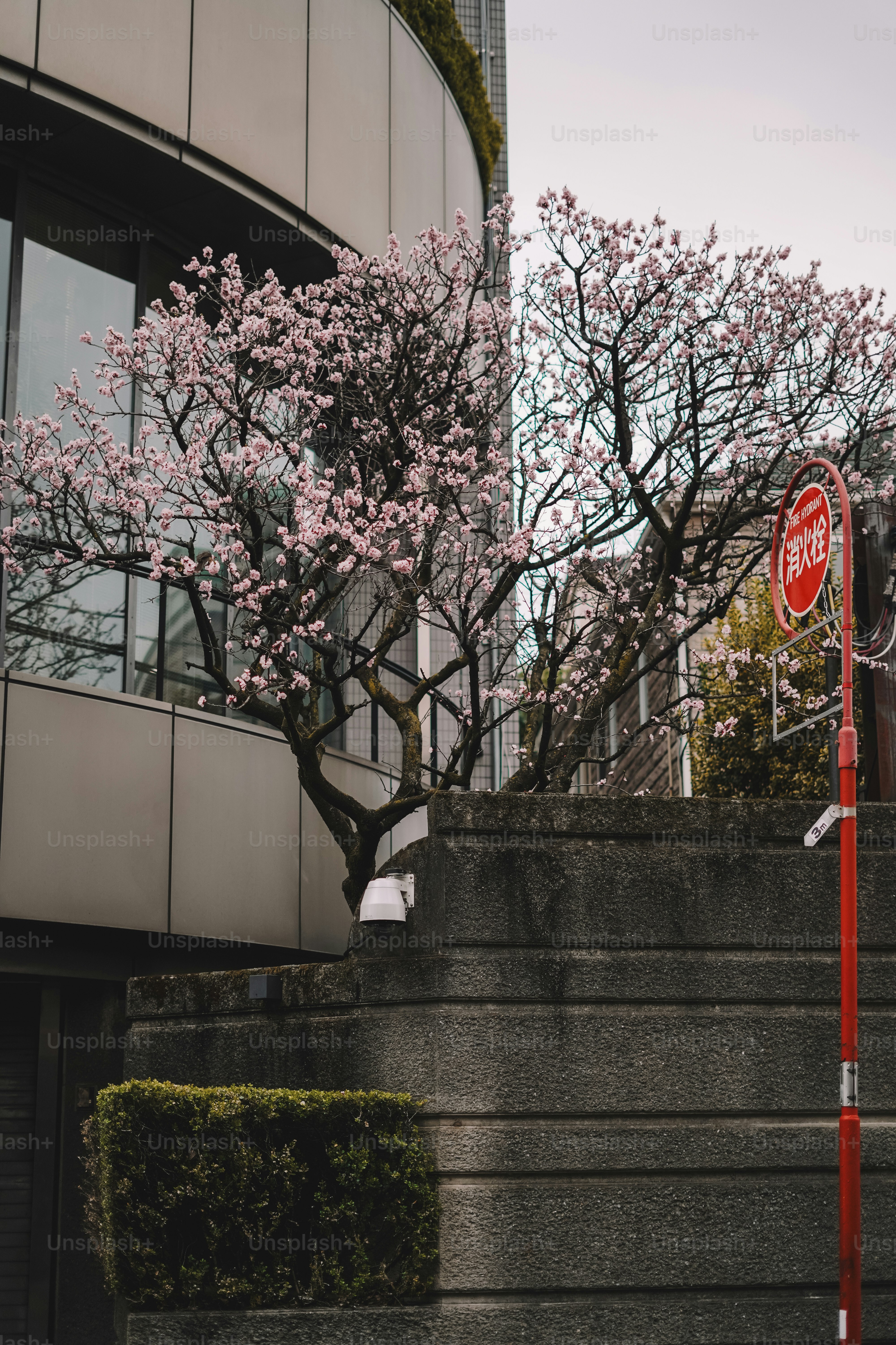 A red stop sign sitting on the side of a set of stairs