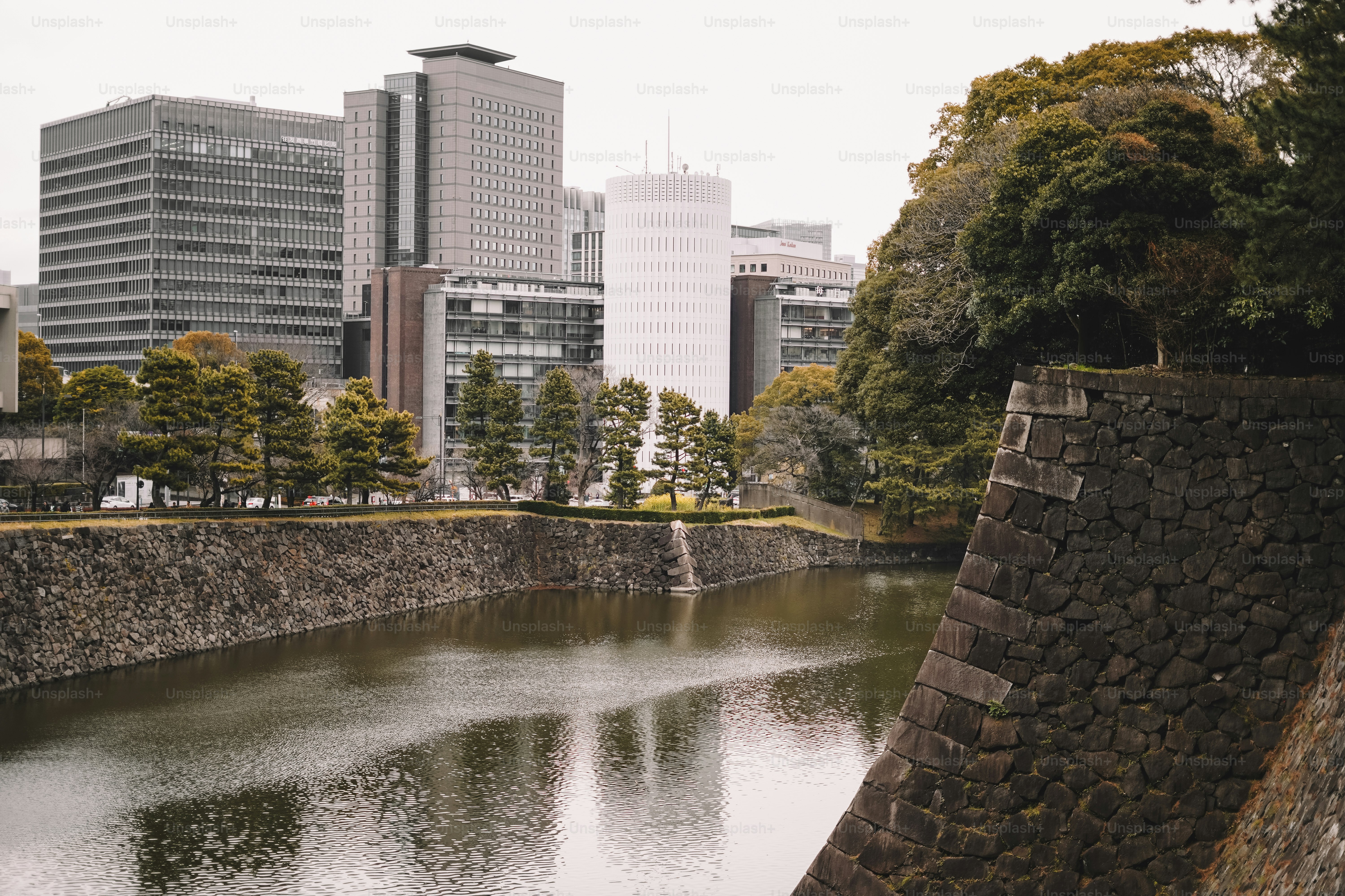 Un río que atraviesa una ciudad junto a edificios altos