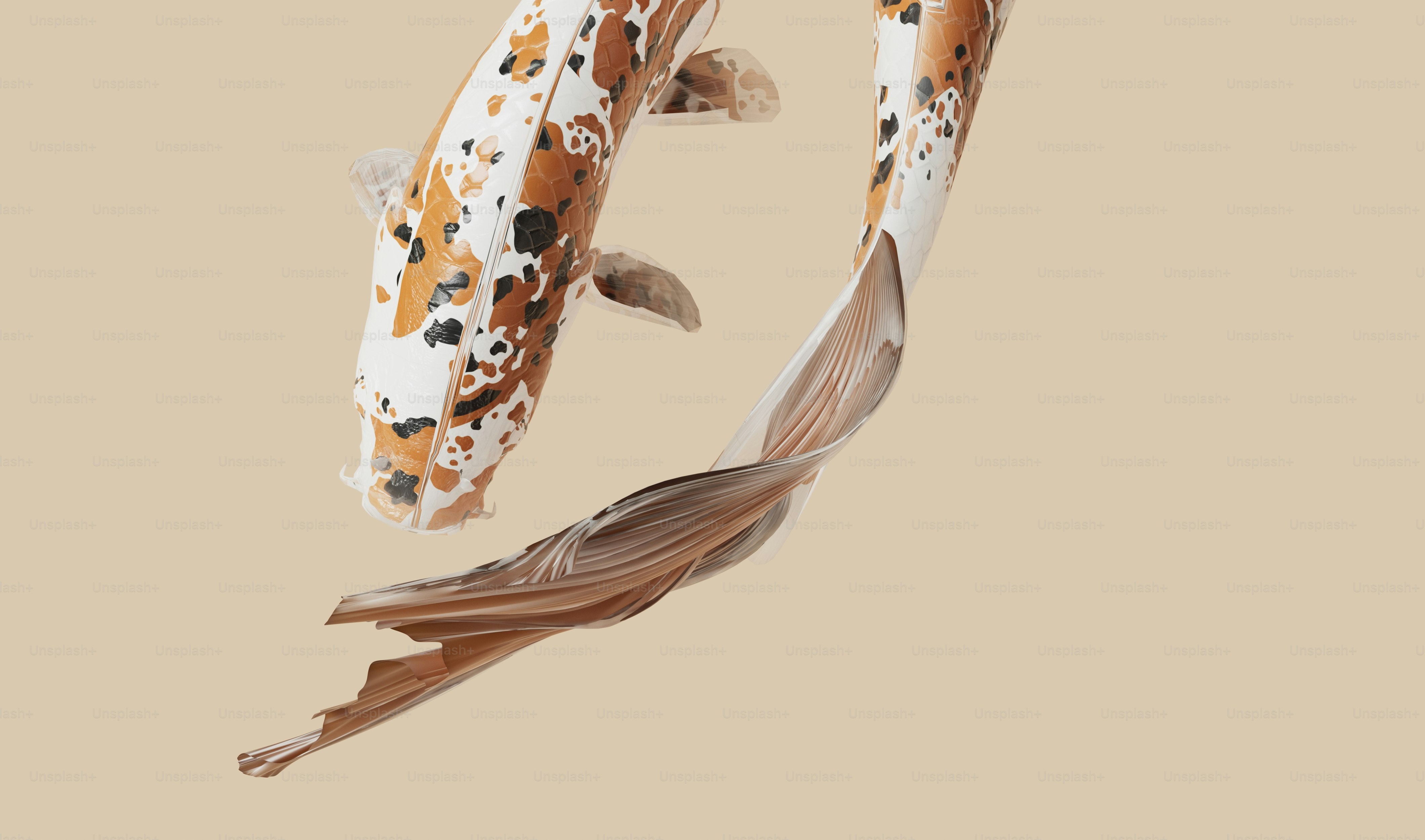 A couple of fish swimming next to each other