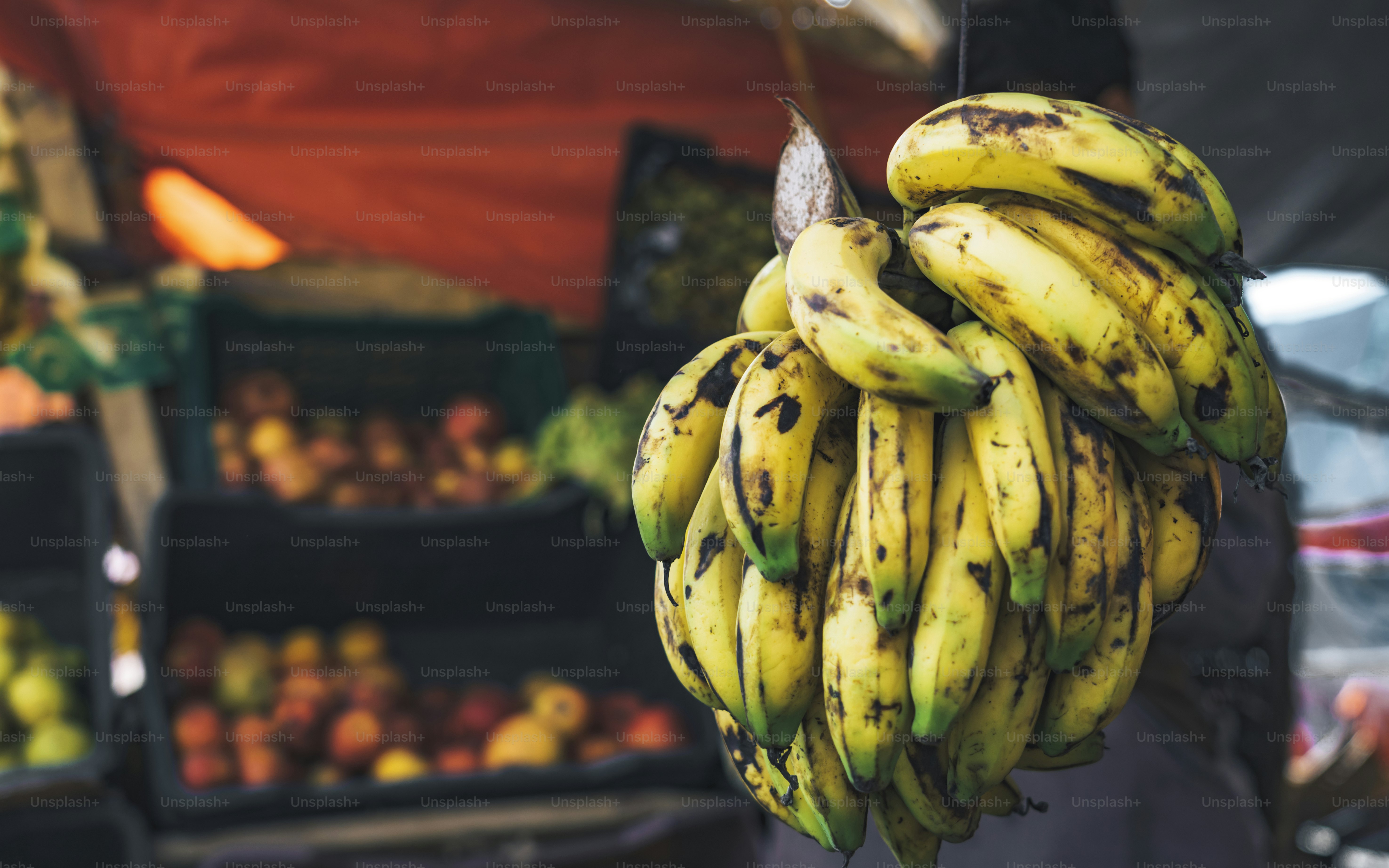 Close up of a bunch of bananas hanging in the market