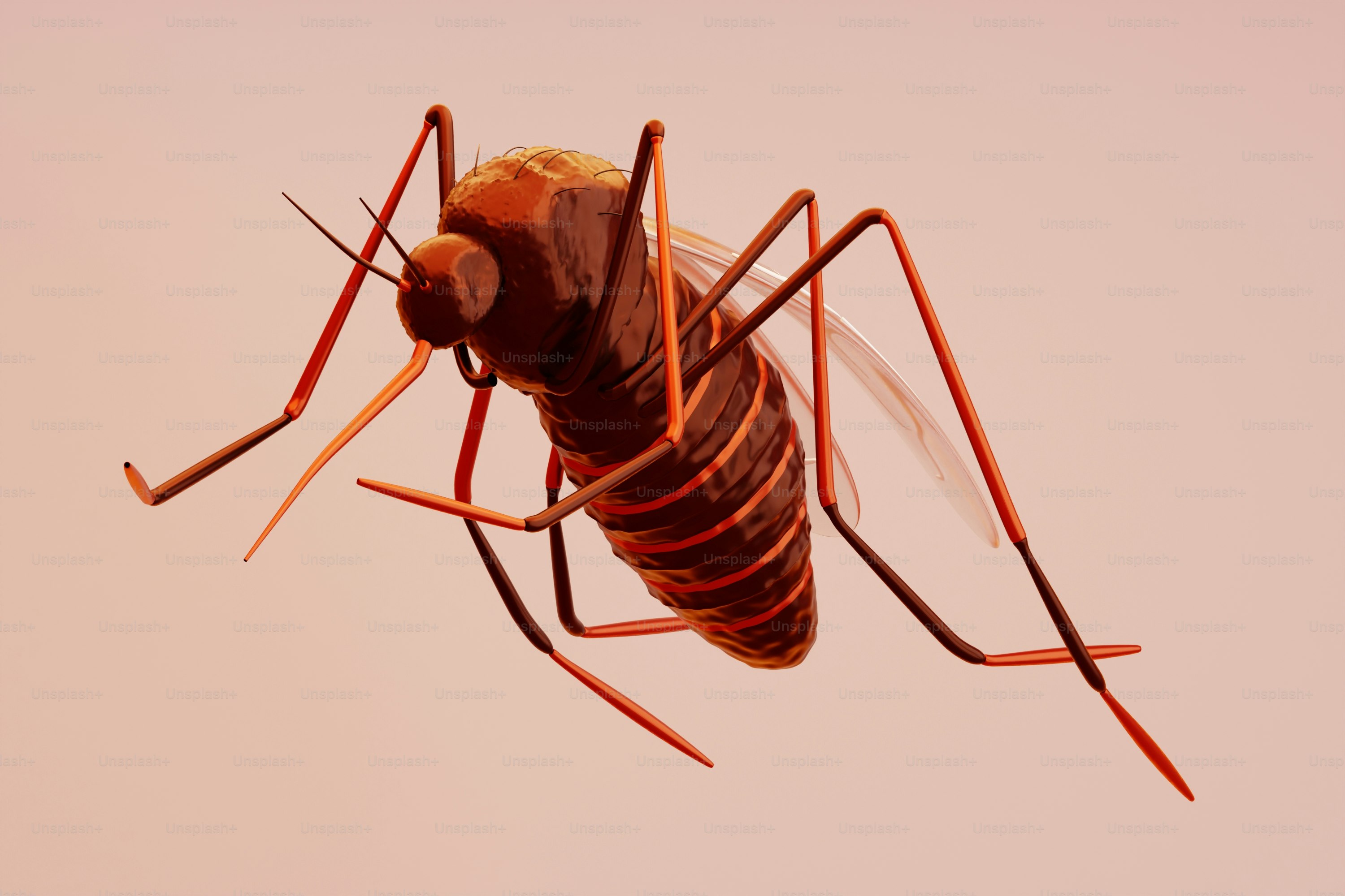 A close up of a mosquito flying in the air