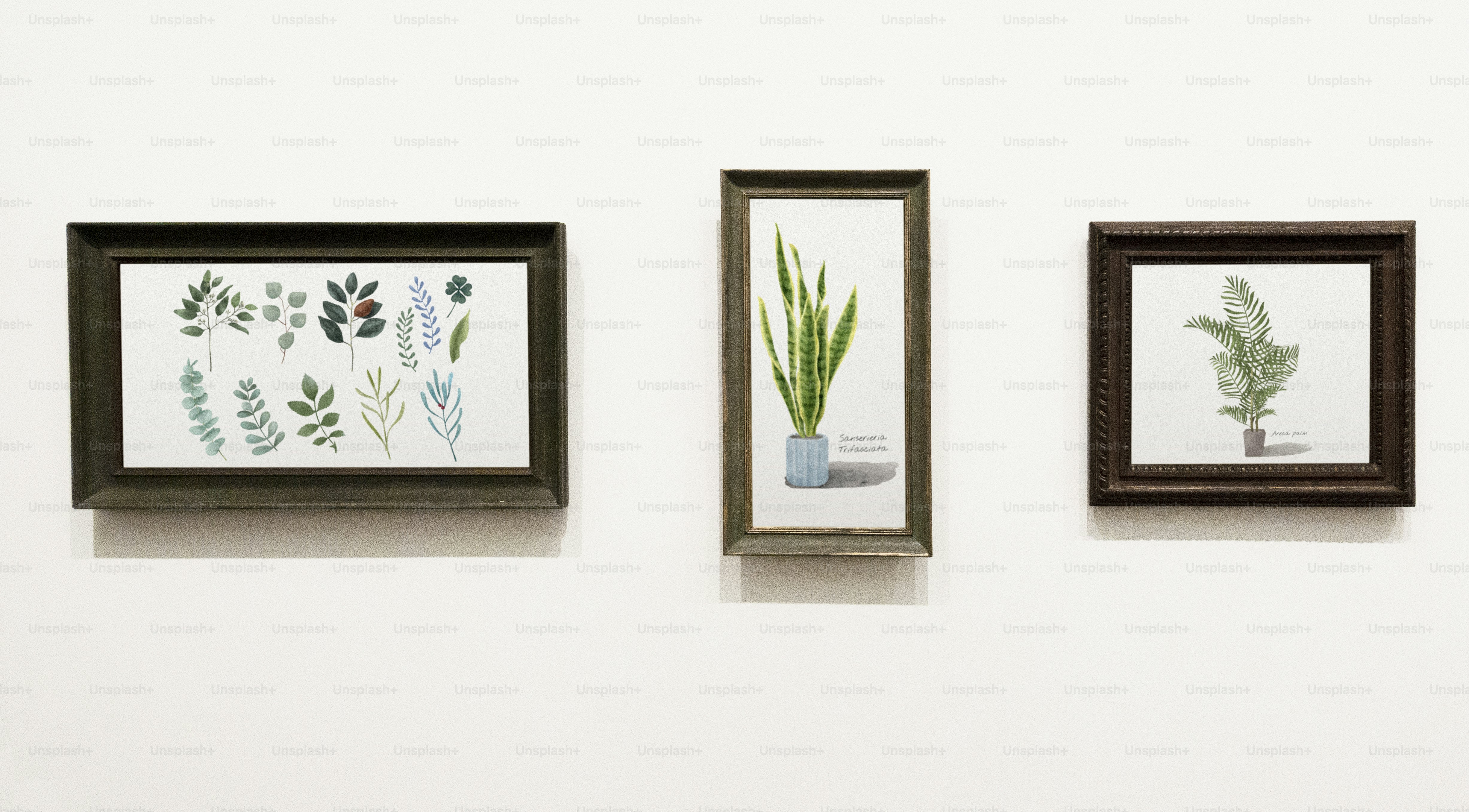 Collection of leaf art pieces on a wall