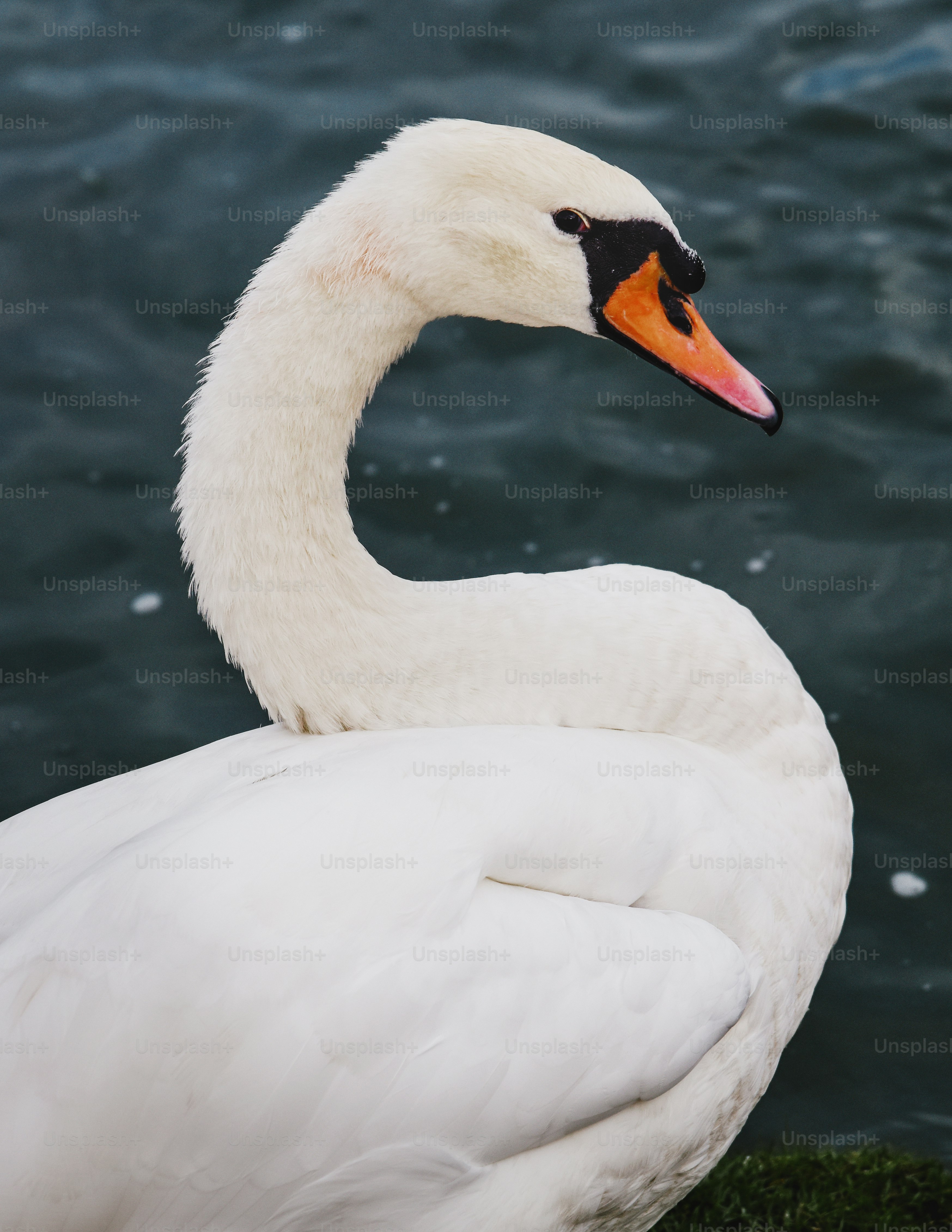 Choose from a curated selection of eye photos. Always free on Unsplash.