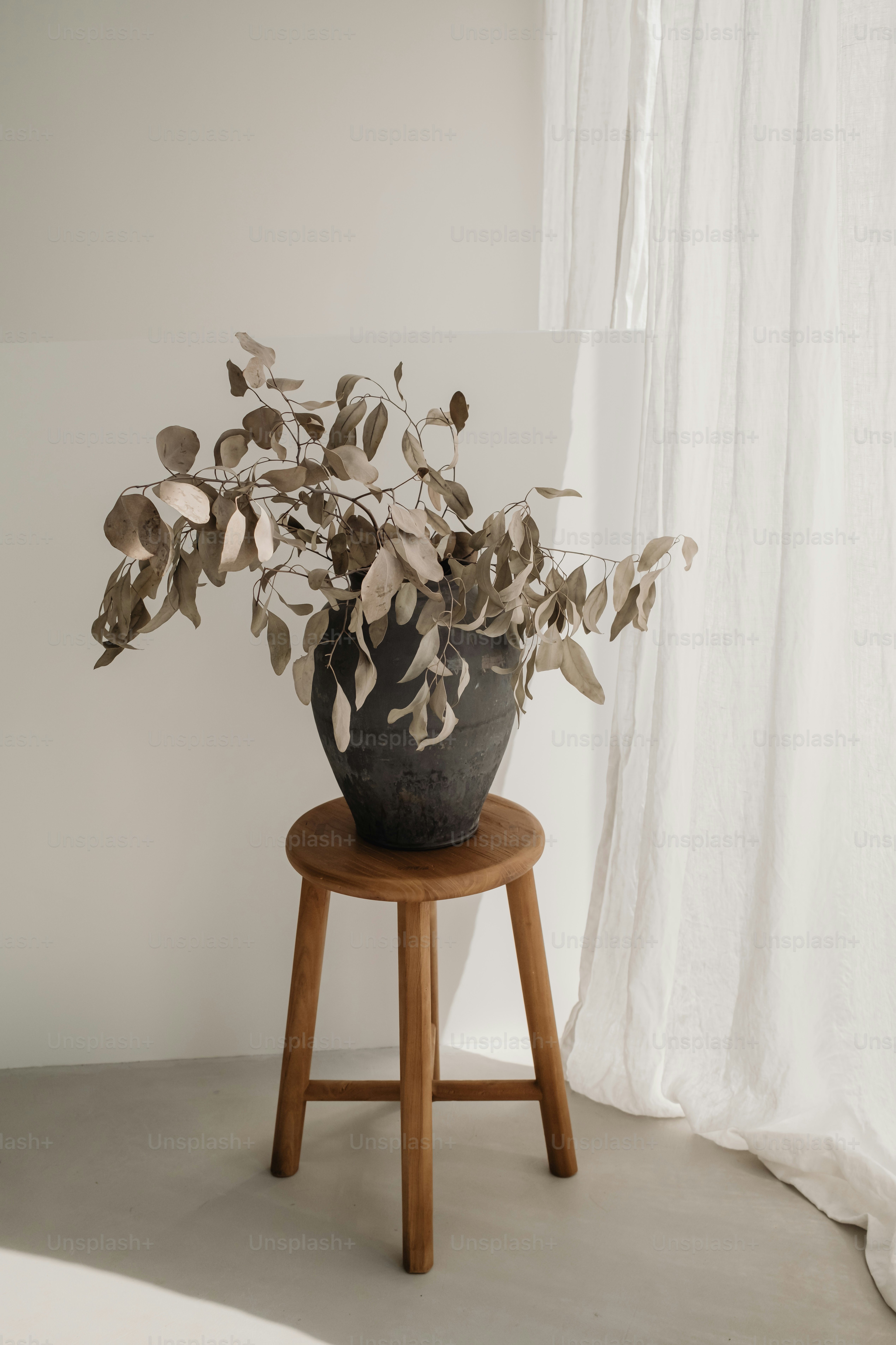 Une plante en pot posée sur un tabouret en bois