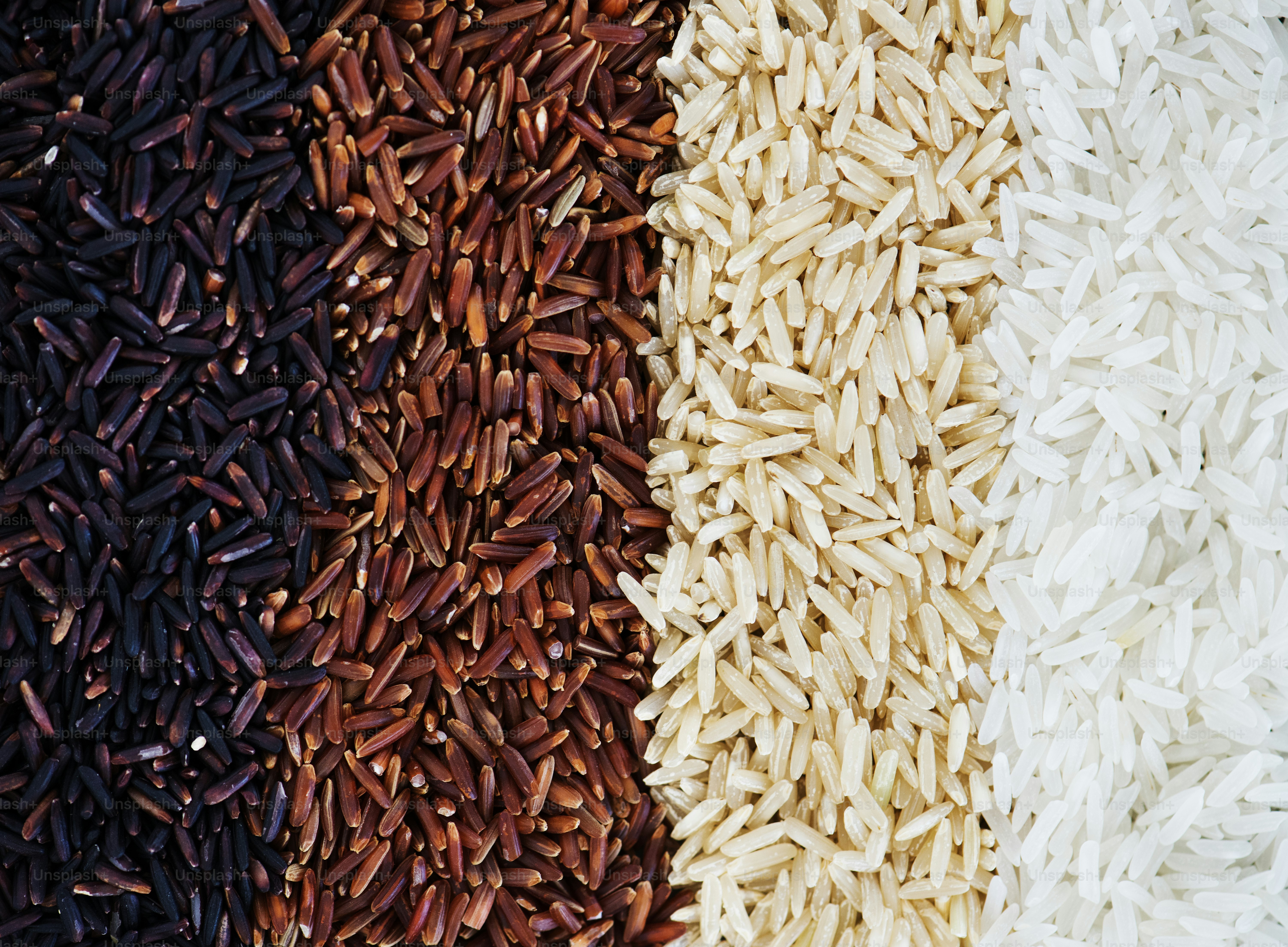 Closeup of mixed rice