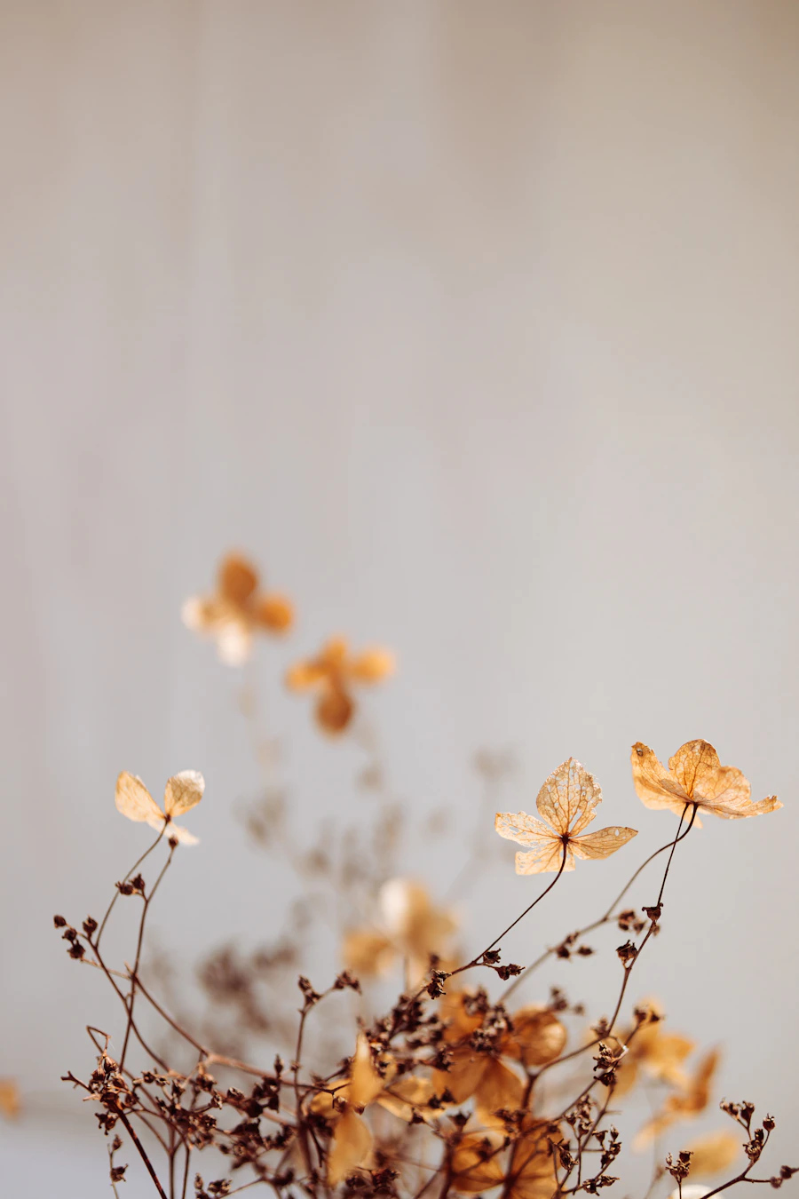 Composition florale en vase avec renoncules et anémones