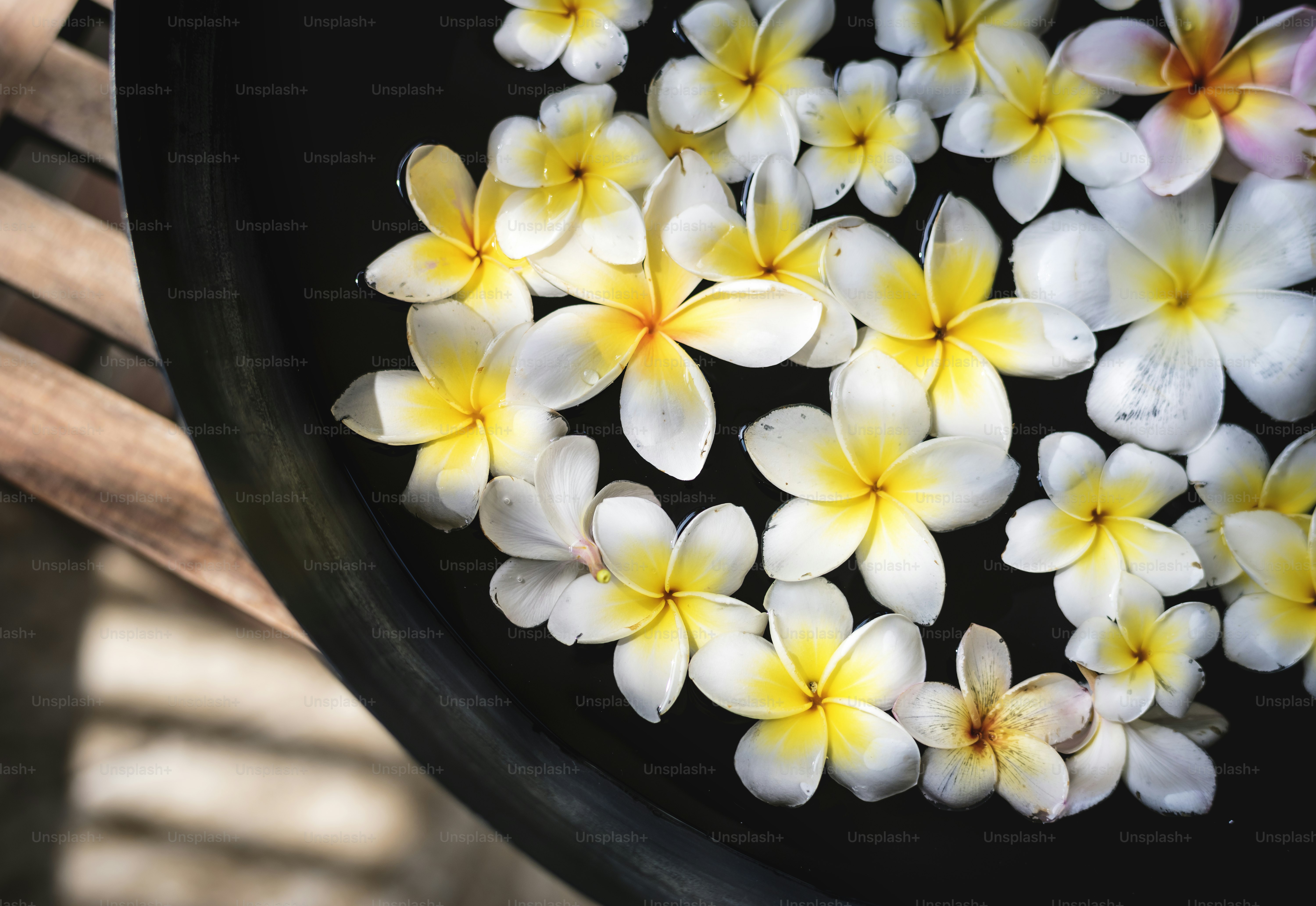 Frangipani flowers at a spa salon