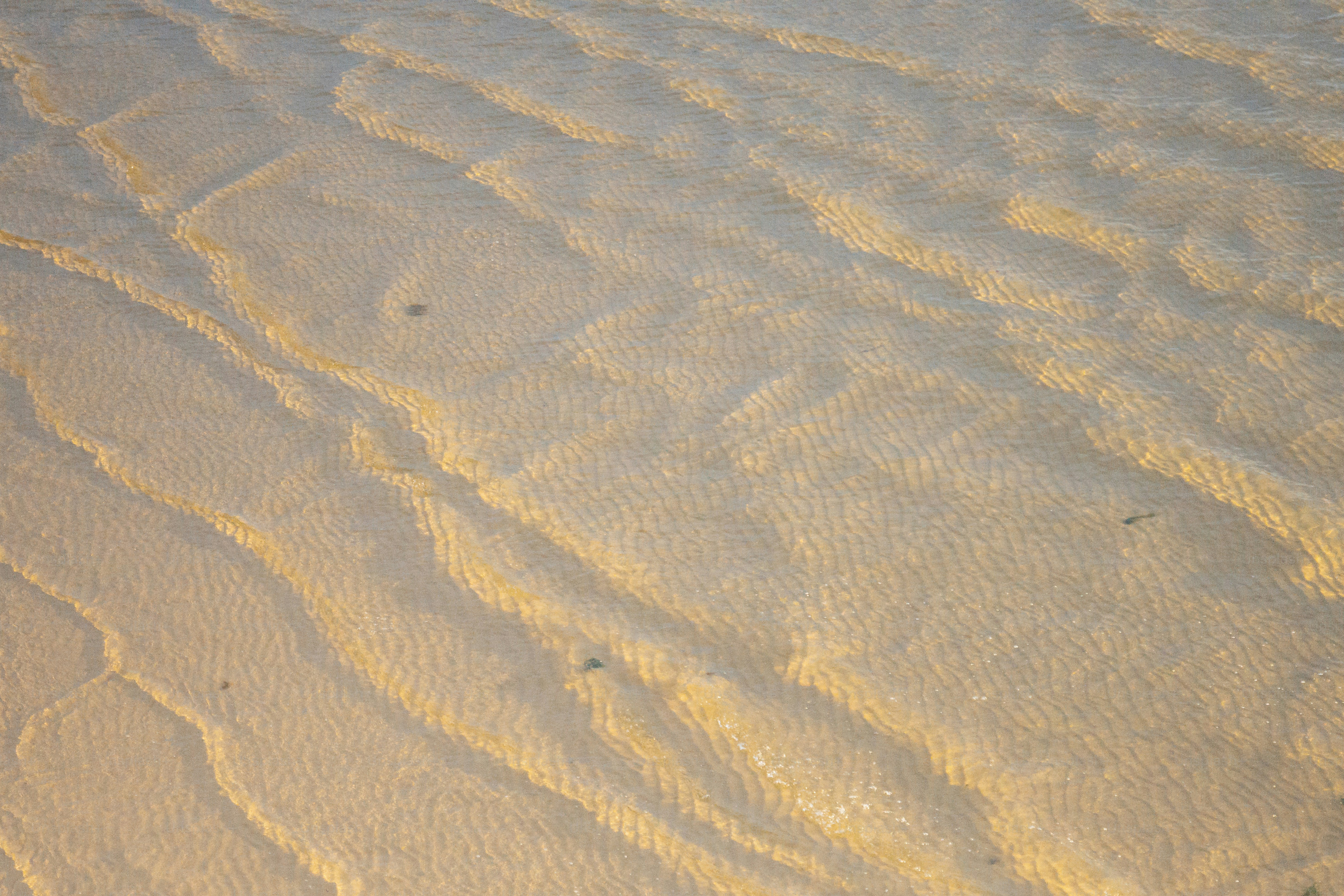 A sandy beach with a small wave in the sand