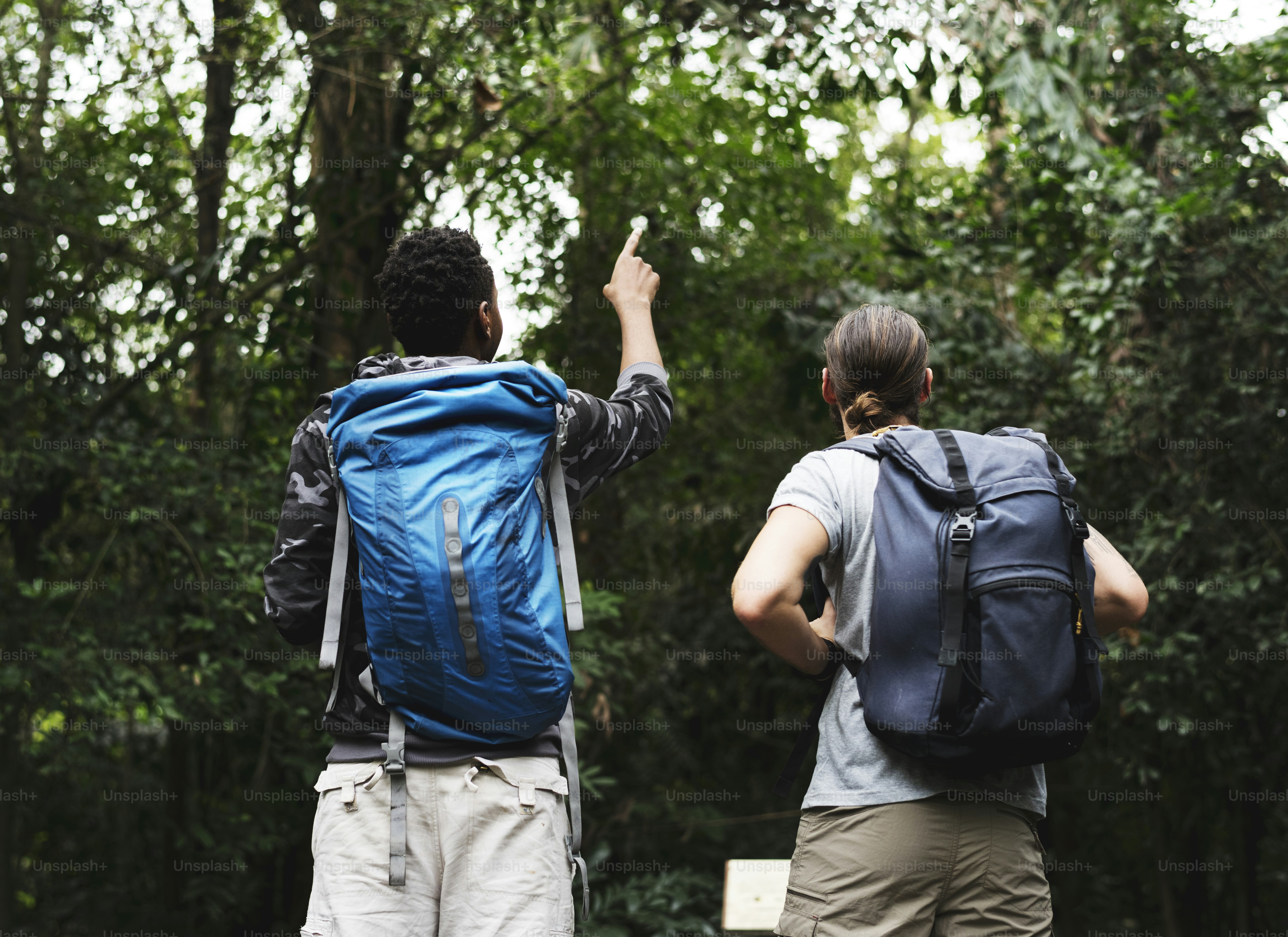 森の中をトレッキング