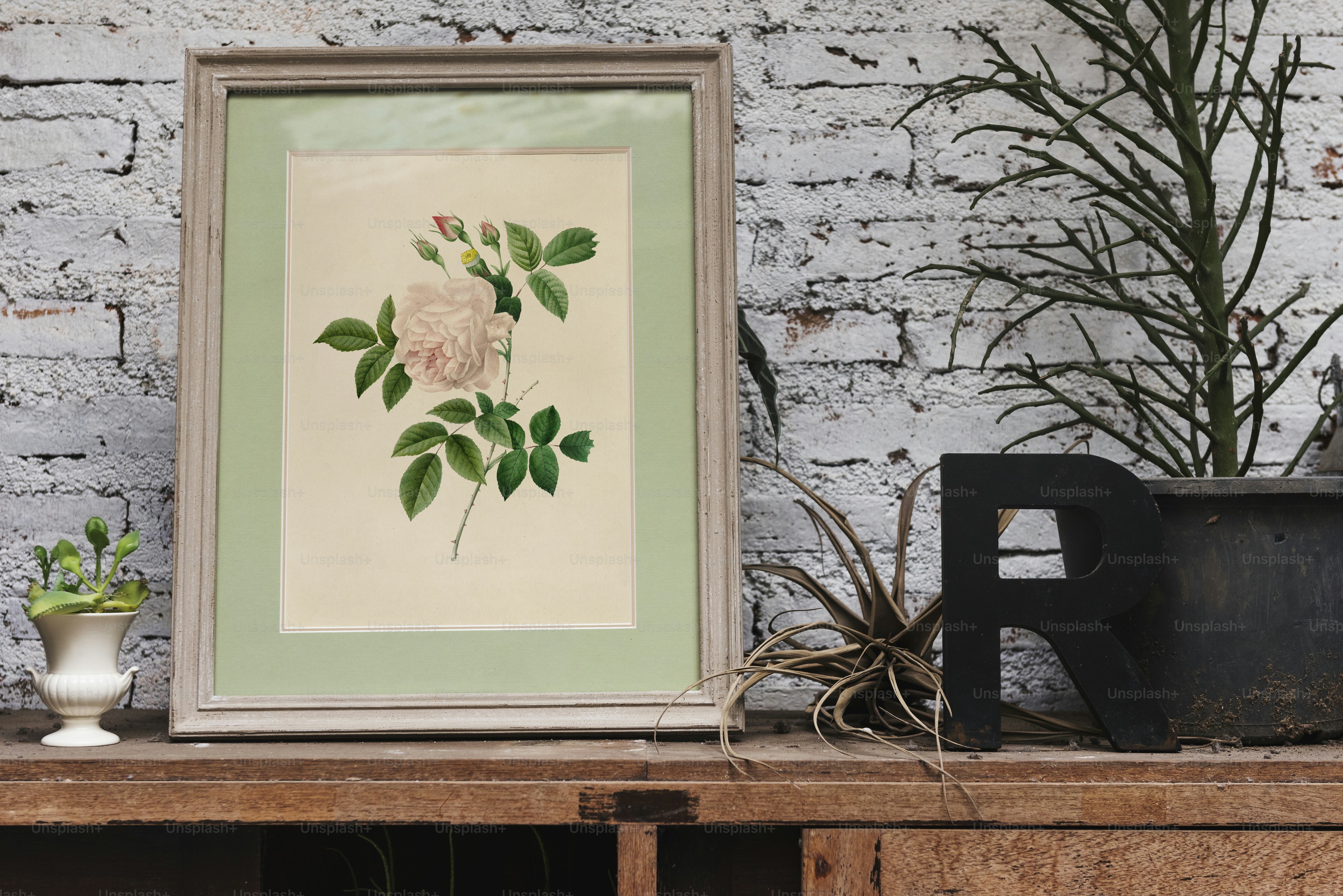 Disegno a mano della foto della rosa