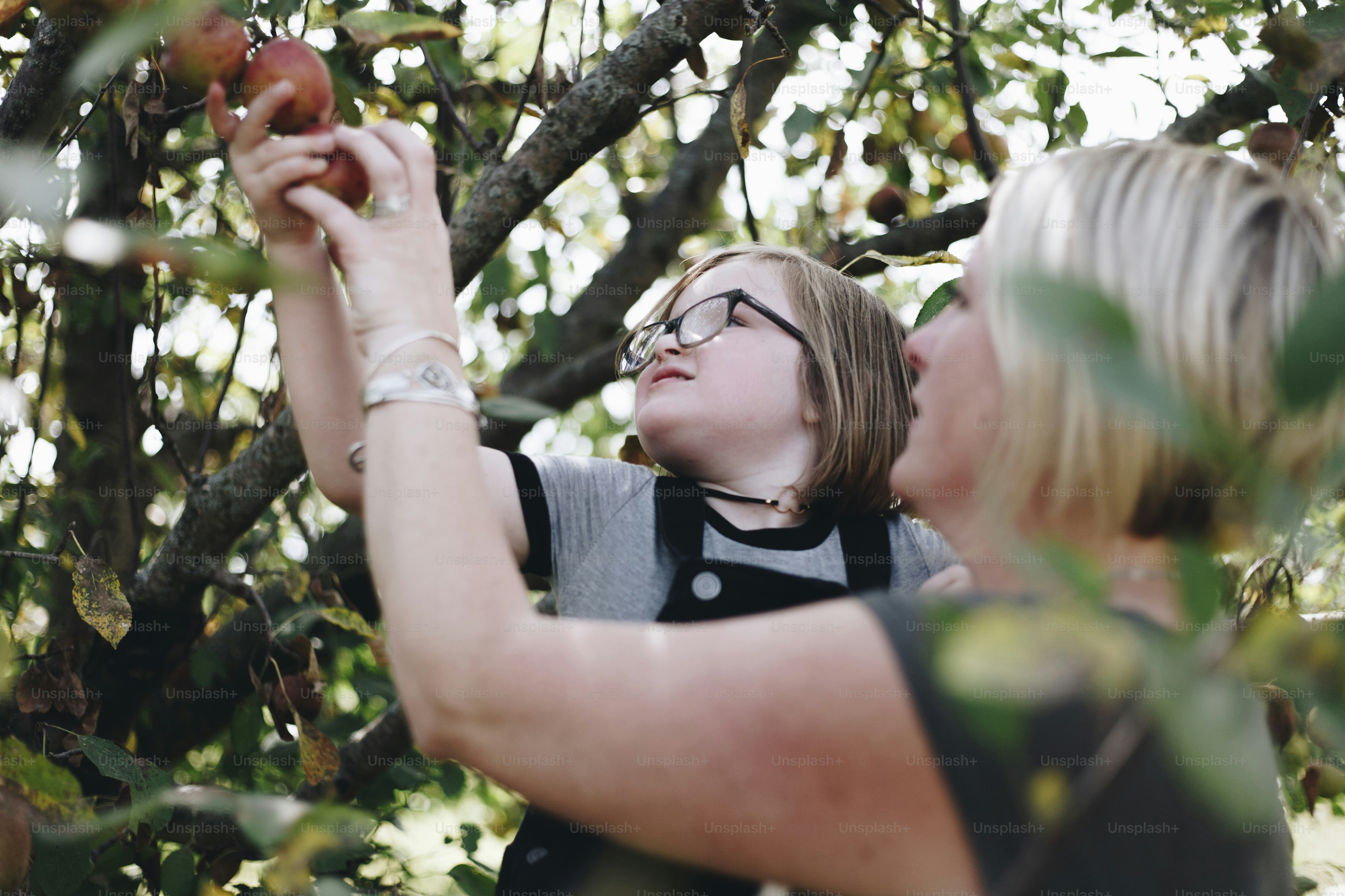 A Caucasian family is spending time at the farm together