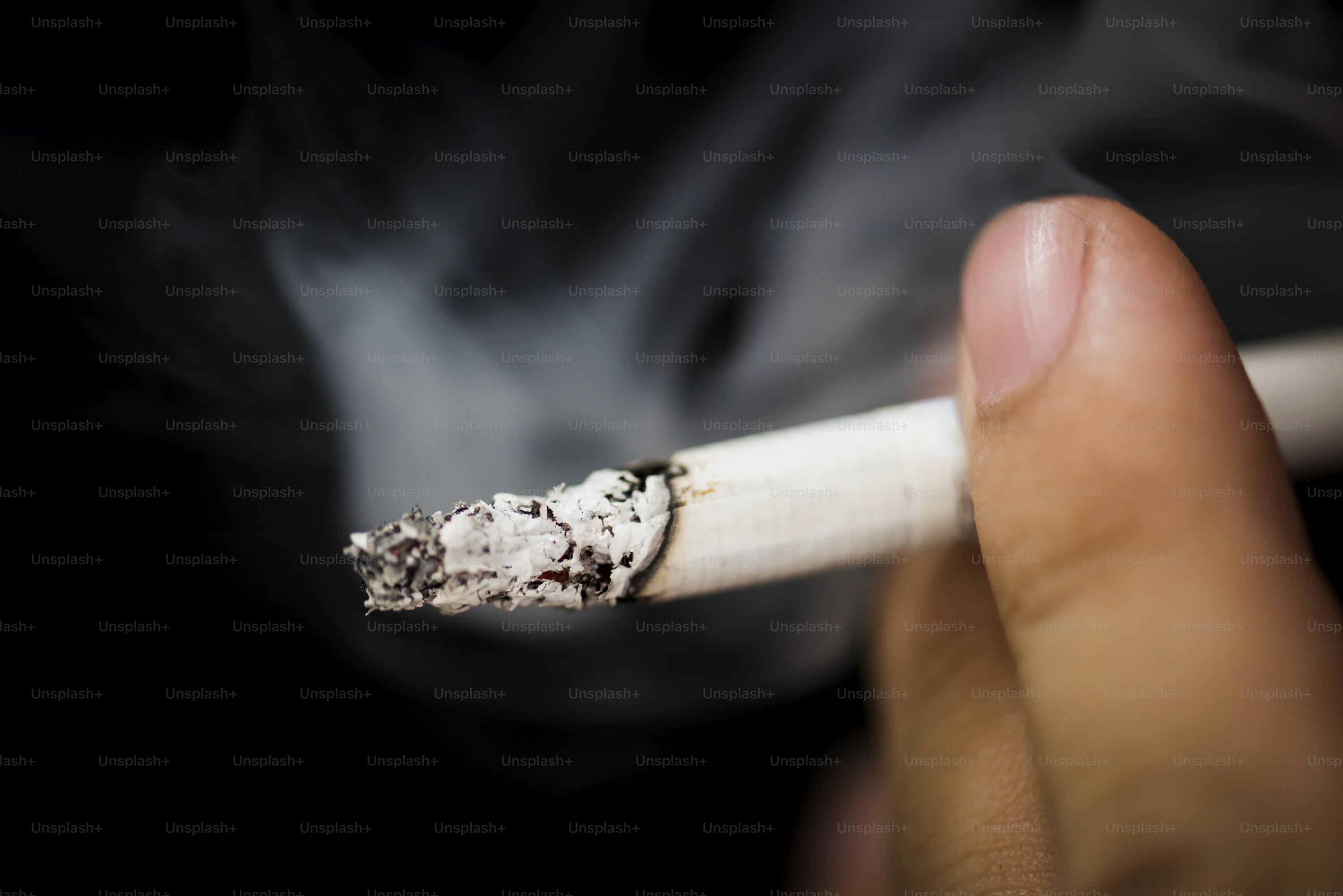 hand holding long cigarette Female with holder Stock Photo belchonock #148841571 Female Hand Holding Cigarette: Over