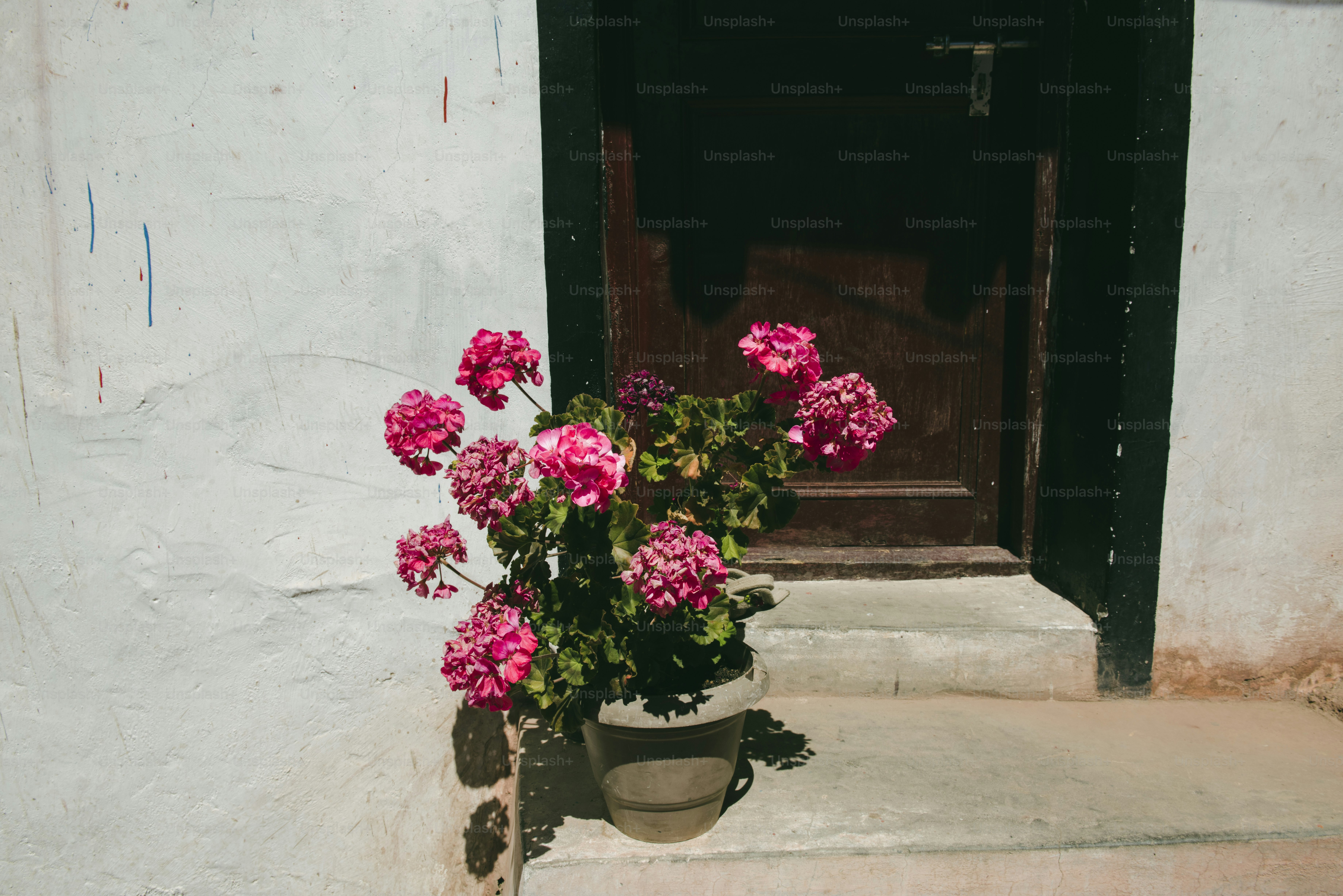 Houseplant Natural Floral Foliage Decoration