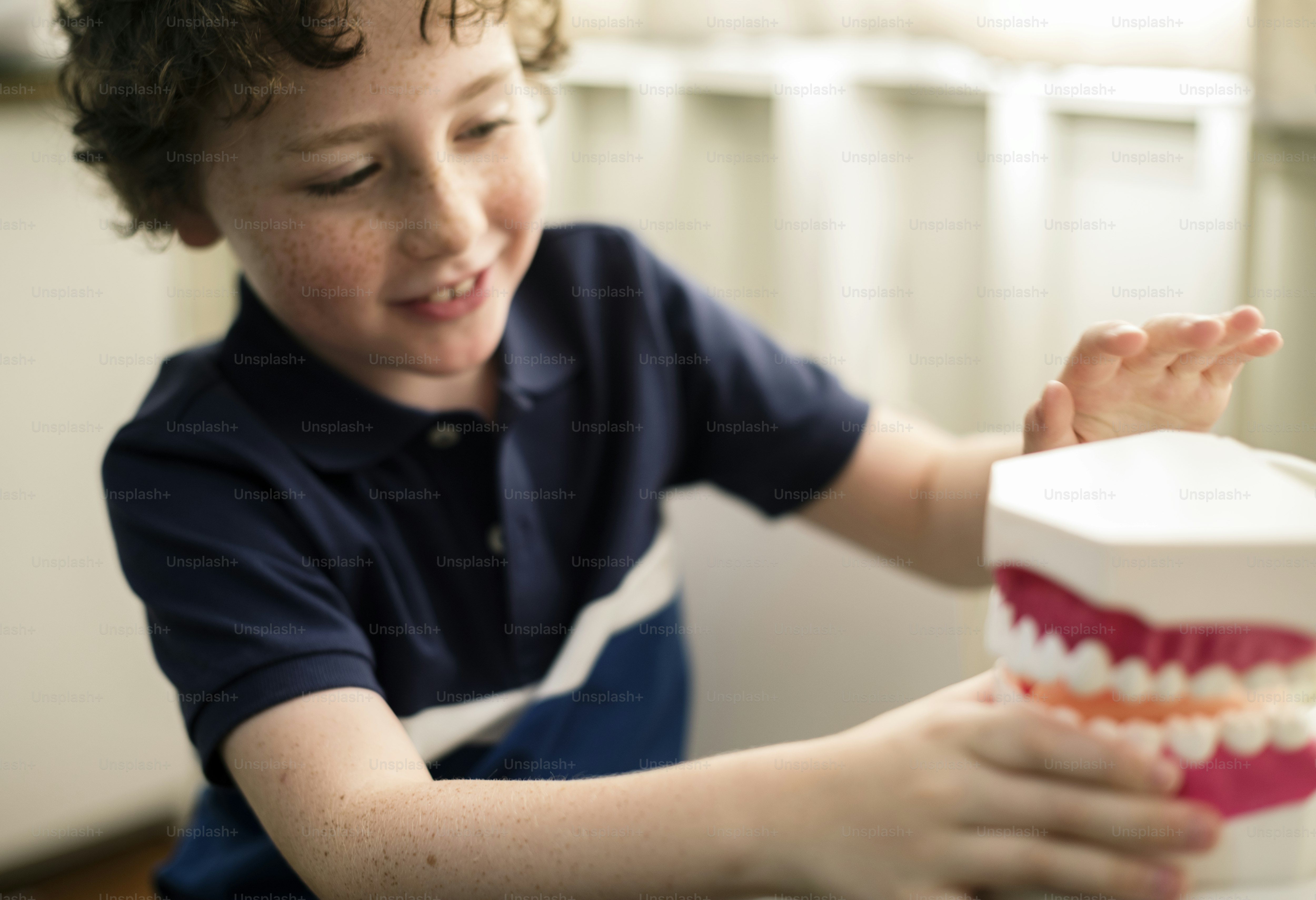 Junger Junge, der mit einem Zahnmodell spielt